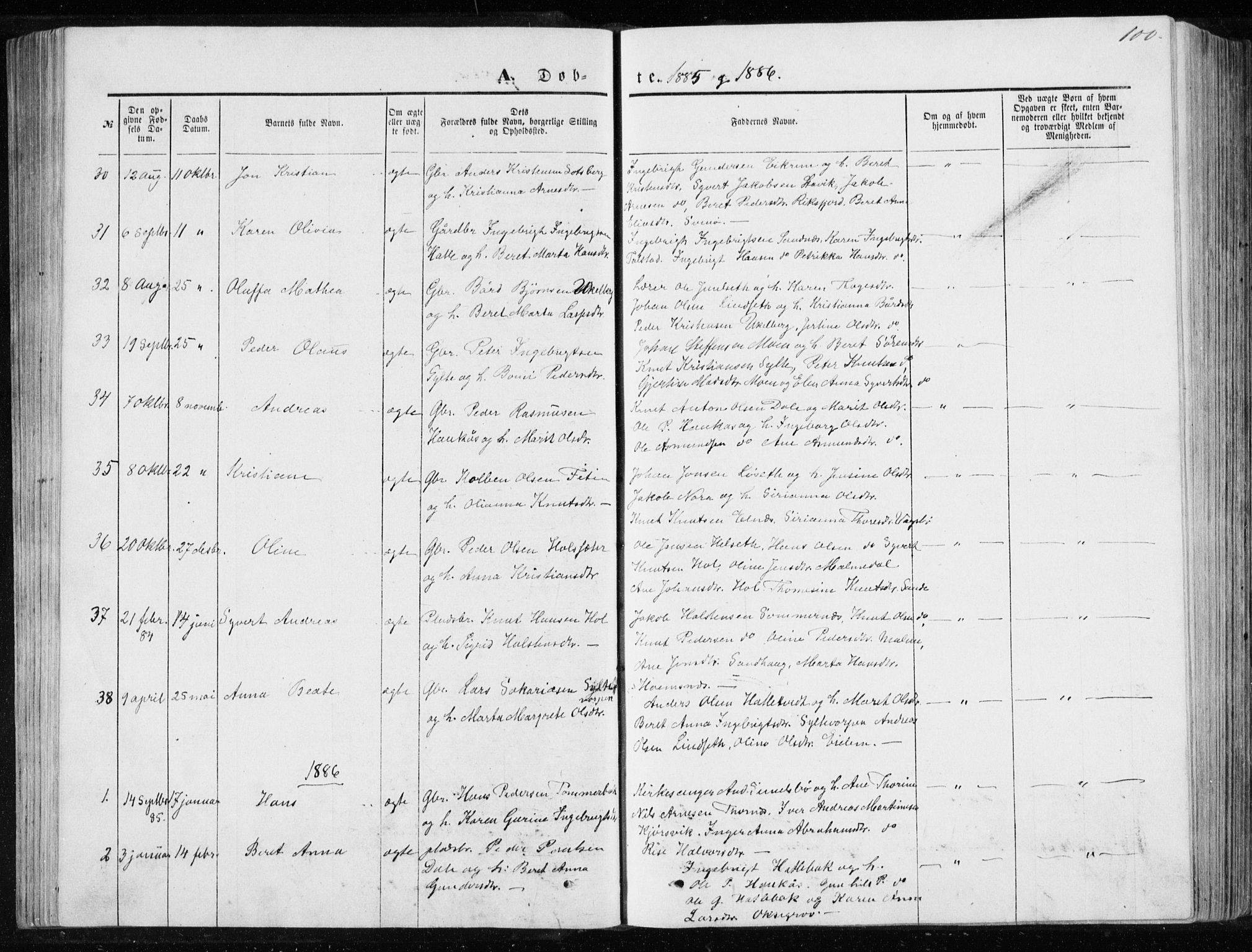 Ministerialprotokoller, klokkerbøker og fødselsregistre - Møre og Romsdal, AV/SAT-A-1454/565/L0754: Parish register (copy) no. 565C03, 1870-1896, p. 100