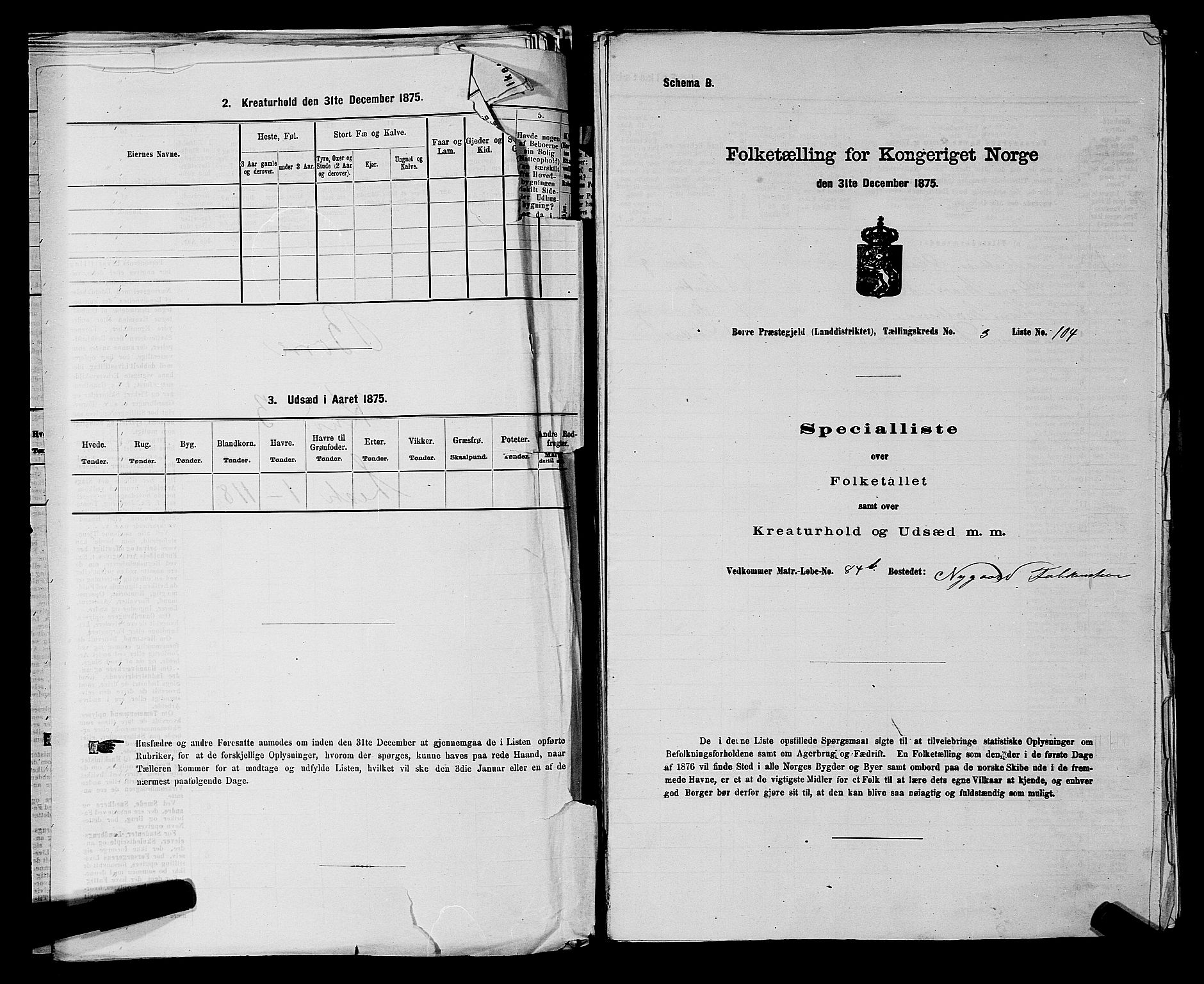 SAKO, 1875 census for 0717L Borre/Borre og Nykirke, 1875, p. 505