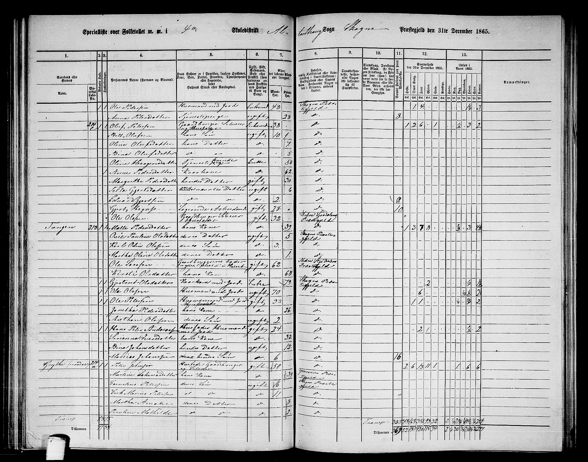 RA, 1865 census for Skogn, 1865, p. 107