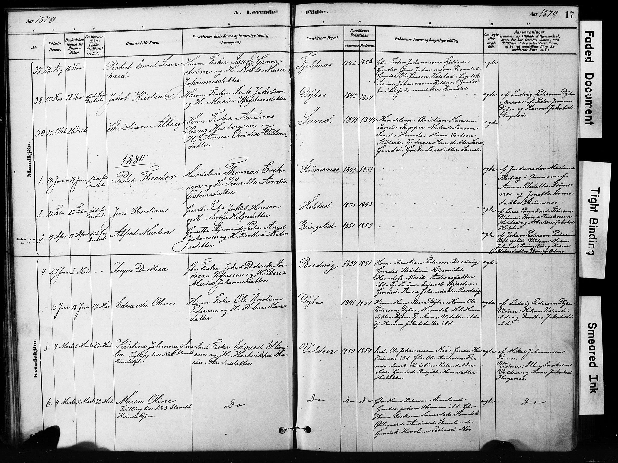 Ministerialprotokoller, klokkerbøker og fødselsregistre - Nordland, AV/SAT-A-1459/852/L0754: Parish register (copy) no. 852C05, 1878-1894, p. 17