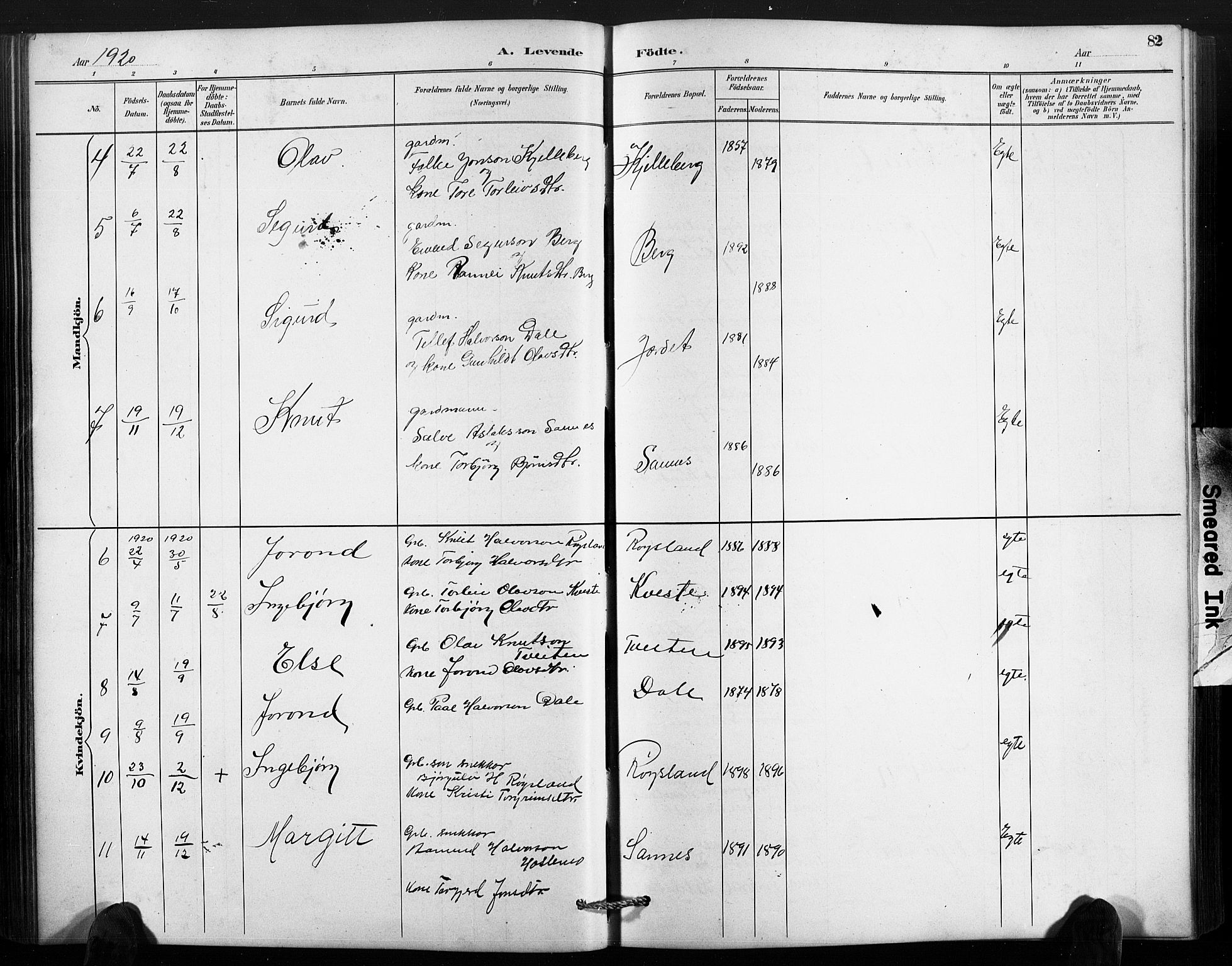 Valle sokneprestkontor, AV/SAK-1111-0044/F/Fb/Fbc/L0004: Parish register (copy) no. B 4, 1890-1928, p. 82