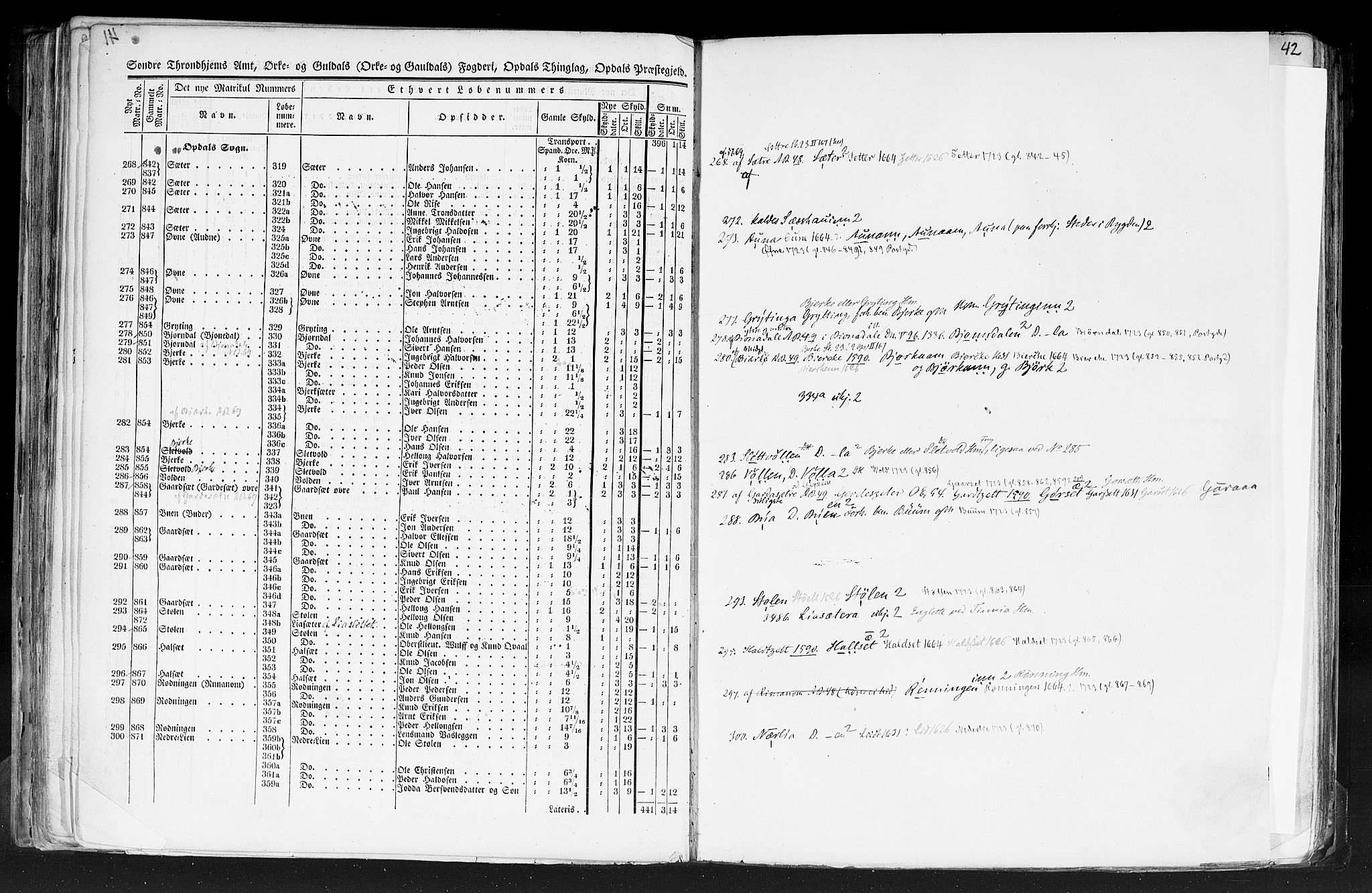 Rygh, AV/RA-PA-0034/F/Fb/L0014: Matrikkelen for 1838 - Søndre Trondhjems amt (Sør-Trøndelag fylke), 1838, p. 41b