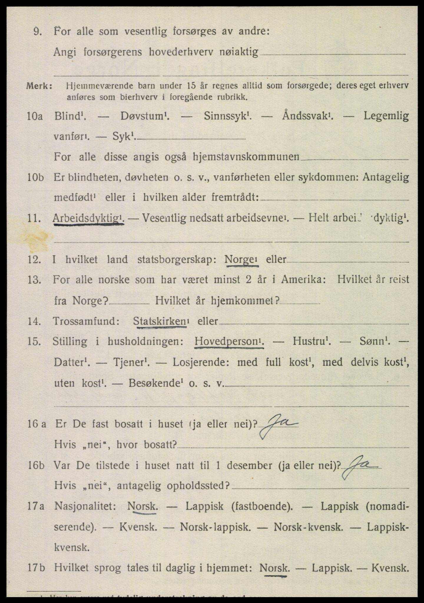 SAT, 1920 census for Hattfjelldal, 1920, p. 941