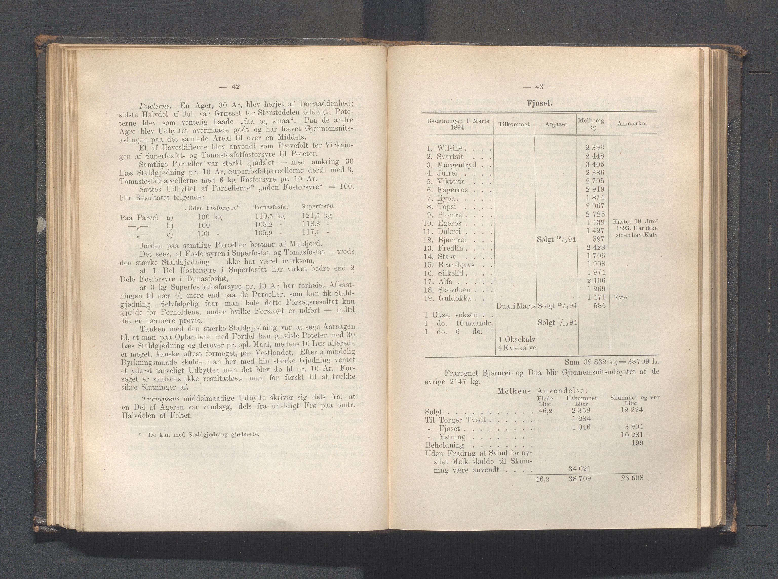 Rogaland fylkeskommune - Fylkesrådmannen , IKAR/A-900/A, 1895, p. 95