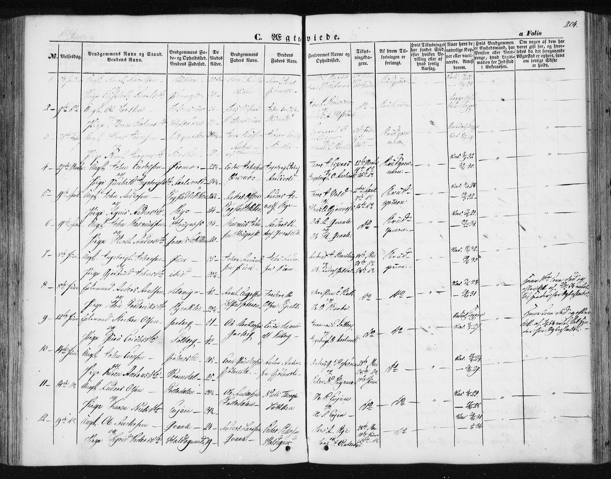Ministerialprotokoller, klokkerbøker og fødselsregistre - Sør-Trøndelag, SAT/A-1456/668/L0806: Parish register (official) no. 668A06, 1854-1869, p. 204