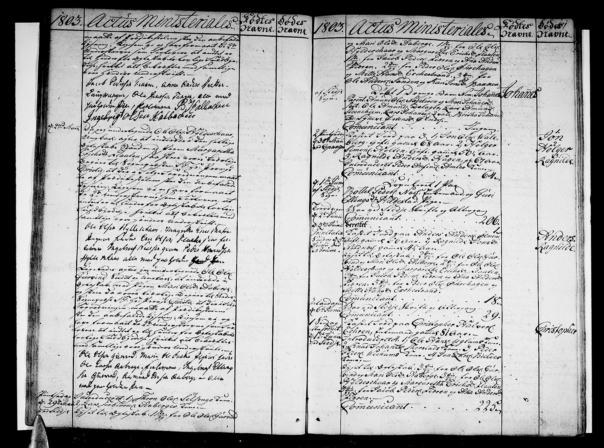 Sogndal sokneprestembete, AV/SAB-A-81301/H/Haa/Haaa/L0008: Parish register (official) no. A 8, 1795-1809, p. 101