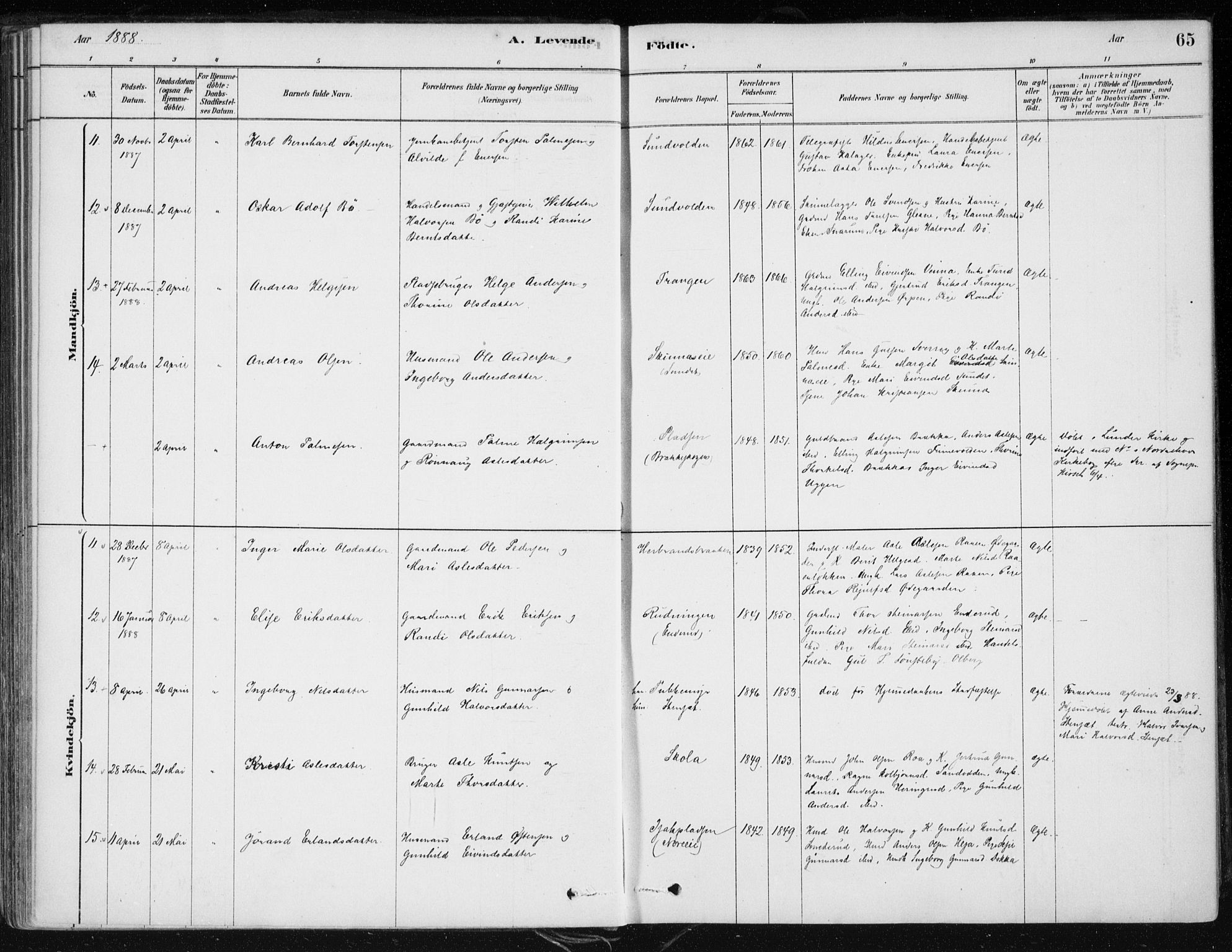 Krødsherad kirkebøker, AV/SAKO-A-19/F/Fa/L0005: Parish register (official) no. 5, 1879-1888, p. 65