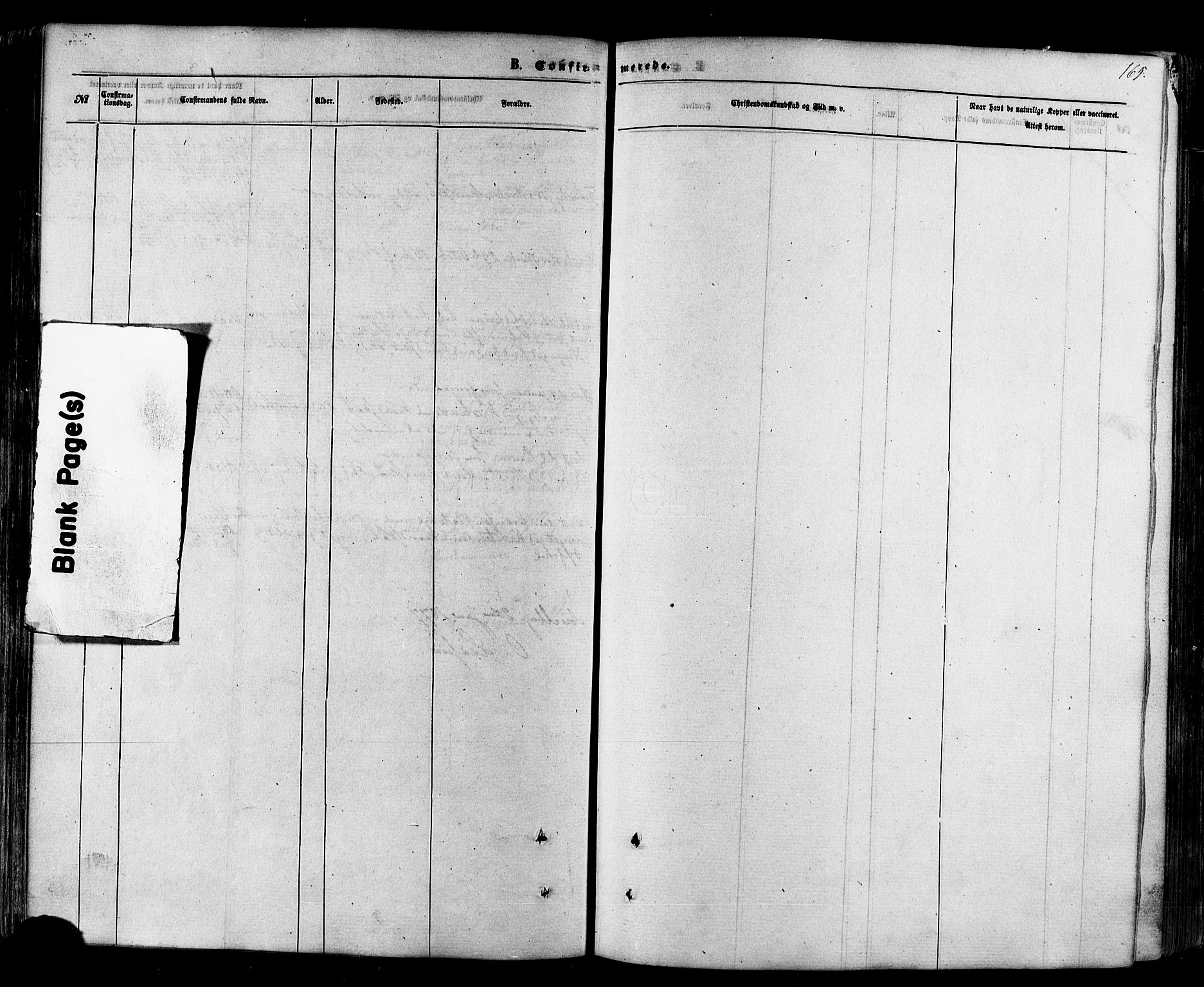 Nesseby sokneprestkontor, AV/SATØ-S-1330/H/Ha/L0003kirke: Parish register (official) no. 3 /1, 1865-1876, p. 165