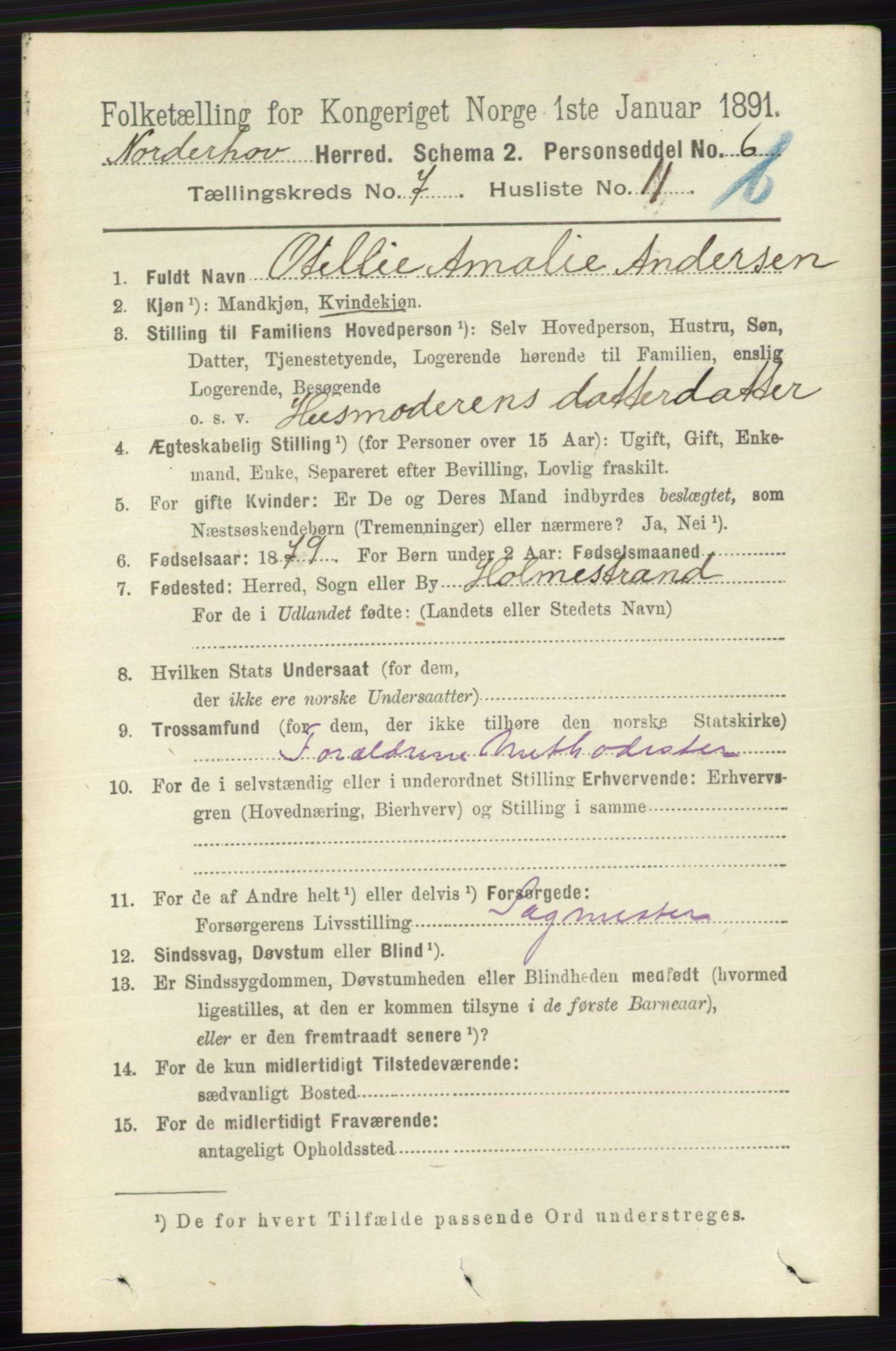 RA, 1891 census for 0613 Norderhov, 1891, p. 5172