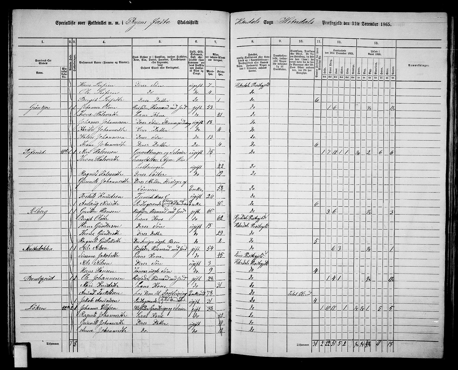 RA, 1865 census for Heddal, 1865, p. 43