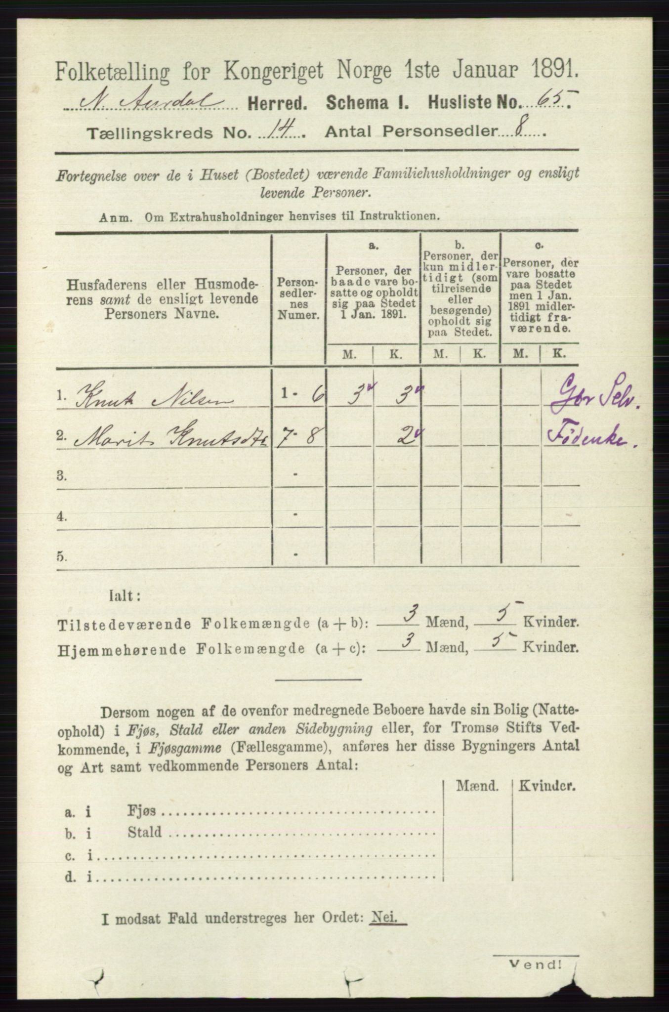 RA, 1891 census for 0542 Nord-Aurdal, 1891, p. 5201