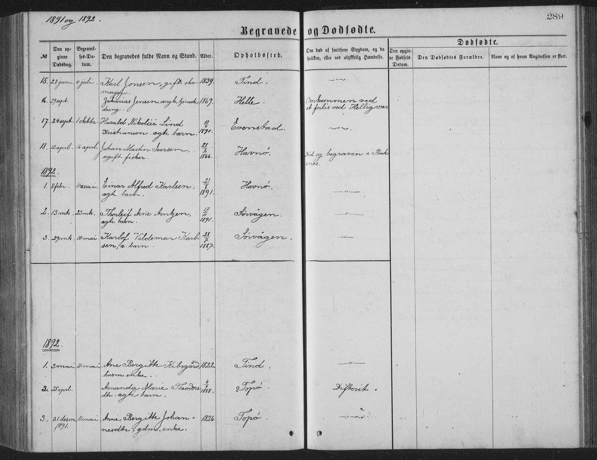 Ministerialprotokoller, klokkerbøker og fødselsregistre - Nordland, AV/SAT-A-1459/886/L1225: Parish register (copy) no. 886C02, 1874-1896, p. 289