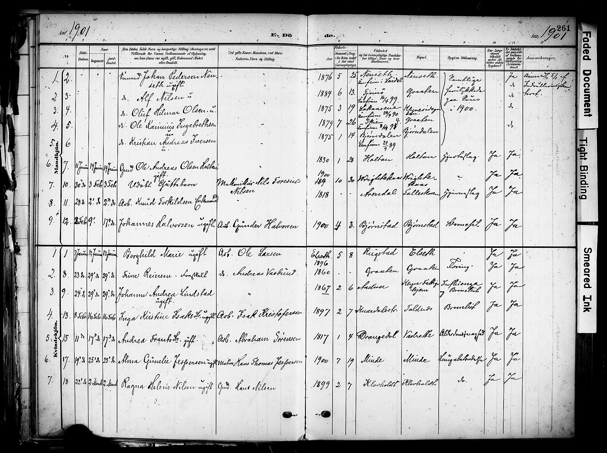 Solum kirkebøker, SAKO/A-306/F/Fa/L0011: Parish register (official) no. I 11, 1898-1909, p. 261