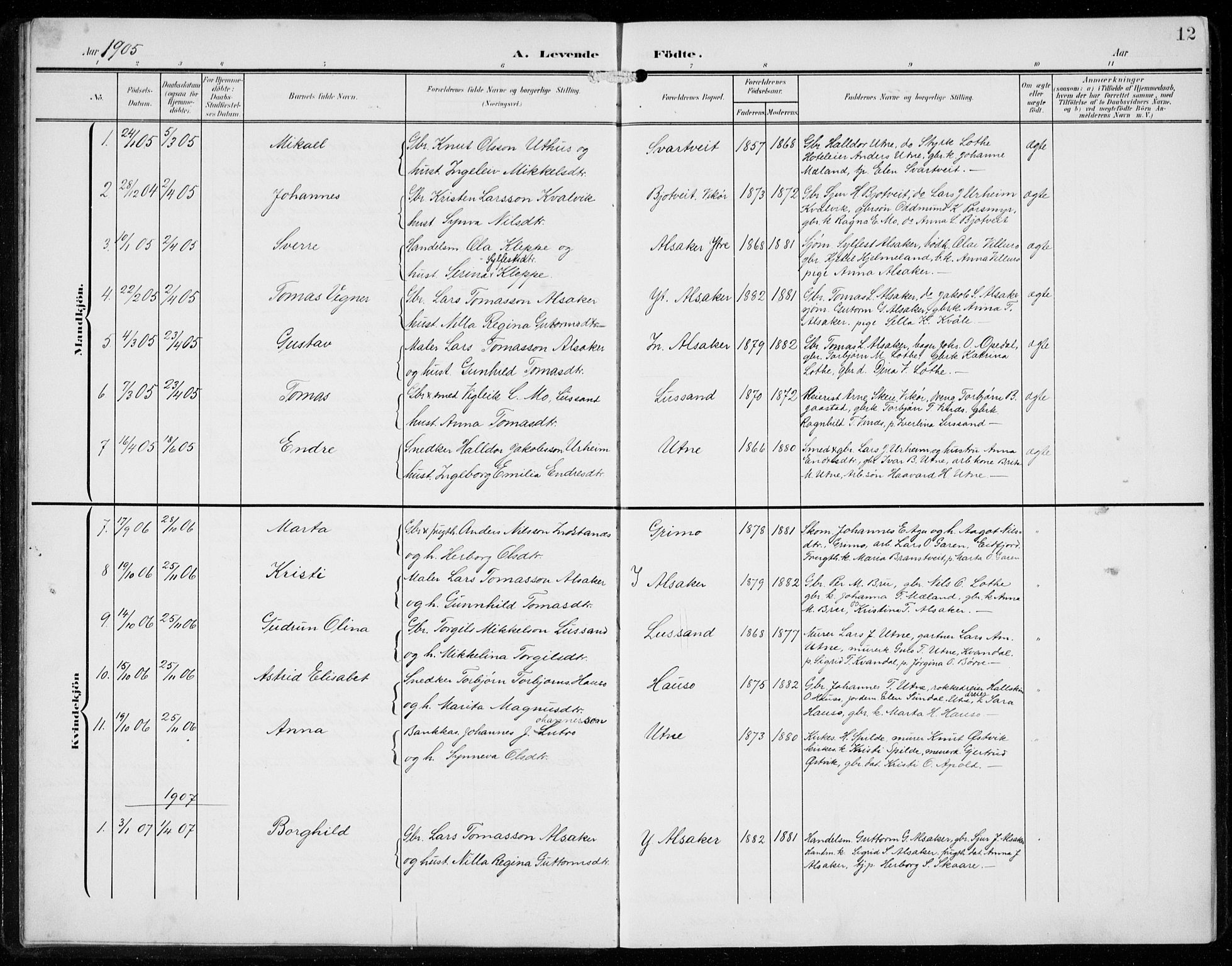Ullensvang sokneprestembete, SAB/A-78701/H/Hab: Parish register (copy) no. F  1, 1902-1935, p. 12