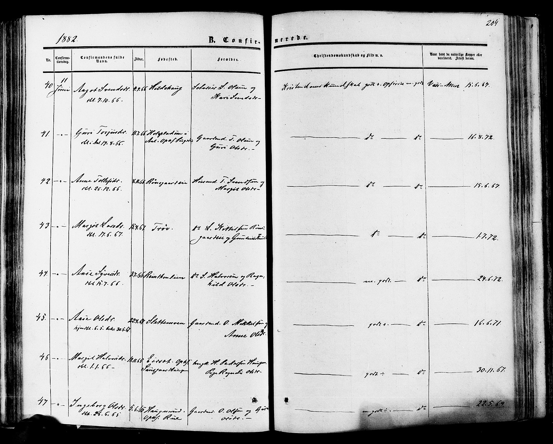 Hol kirkebøker, AV/SAKO-A-227/F/Fa/L0002: Parish register (official) no. I 2, 1870-1886, p. 204