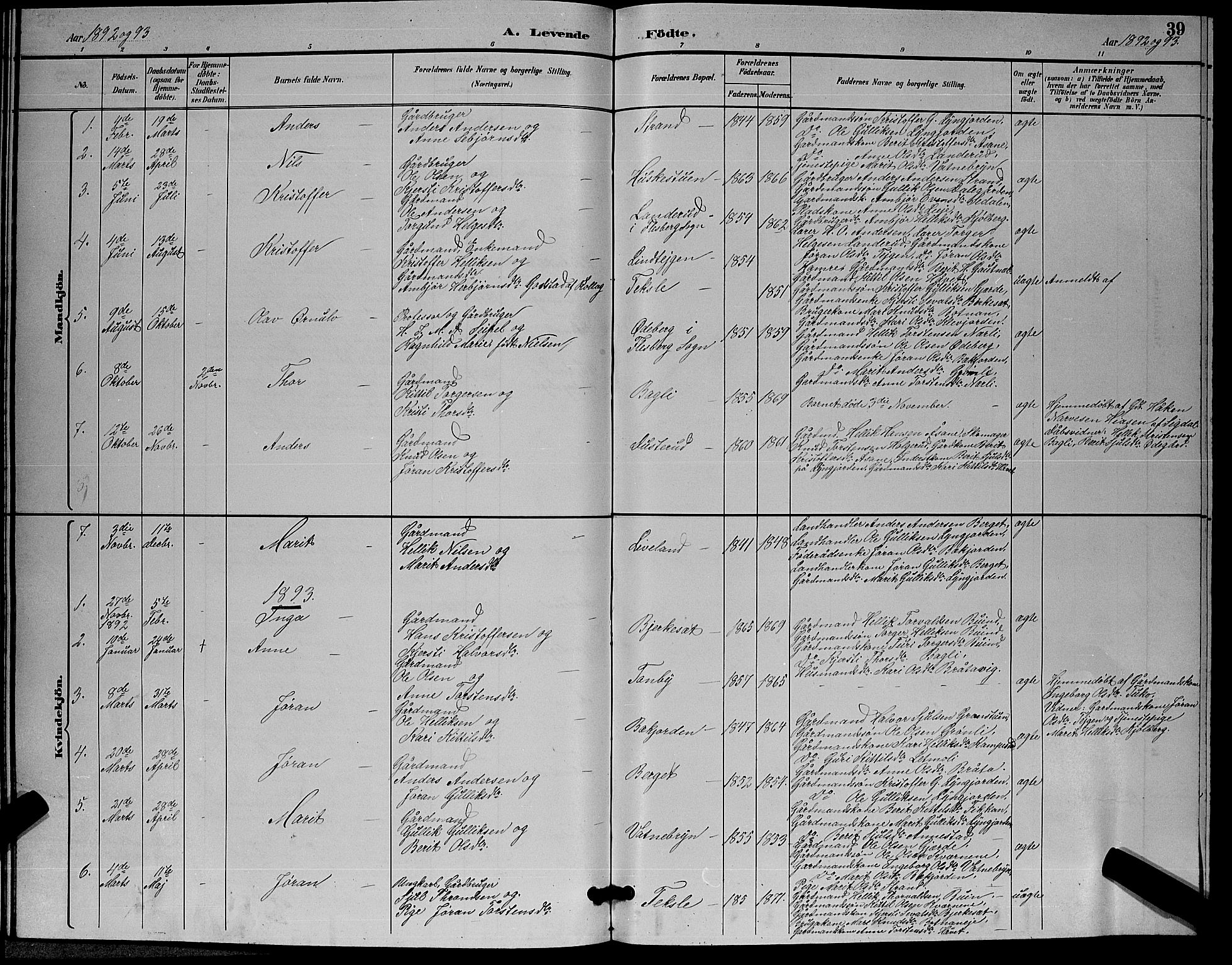 Flesberg kirkebøker, SAKO/A-18/G/Ga/L0004: Parish register (copy) no. I 4 /3, 1890-1898, p. 39