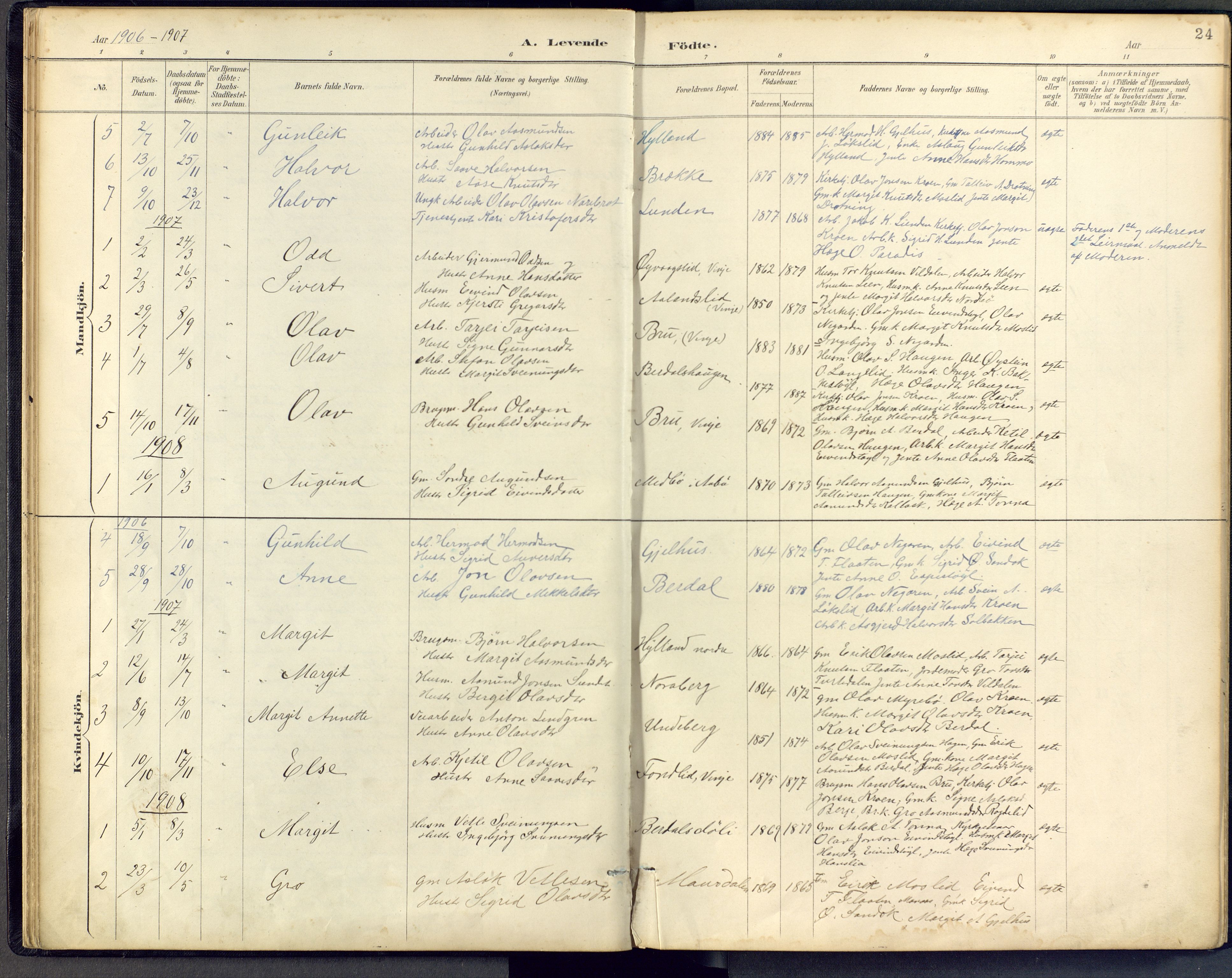 Vinje kirkebøker, SAKO/A-312/F/Fb/L0002: Parish register (official) no. II 2, 1887-1925, p. 24
