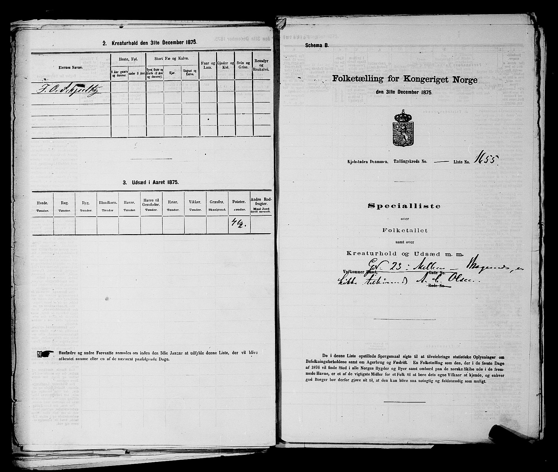 SAKO, 1875 census for 0602 Drammen, 1875, p. 3795