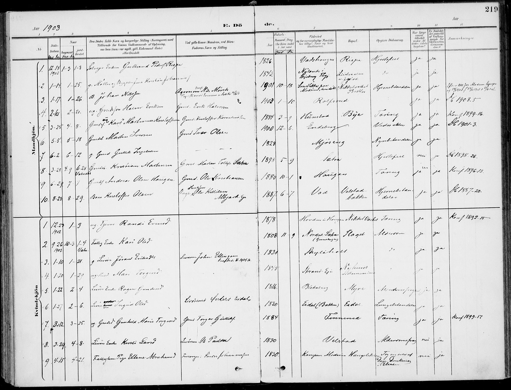 Sigdal kirkebøker, SAKO/A-245/F/Fb/L0002: Parish register (official) no. II 2, 1901-1914, p. 219