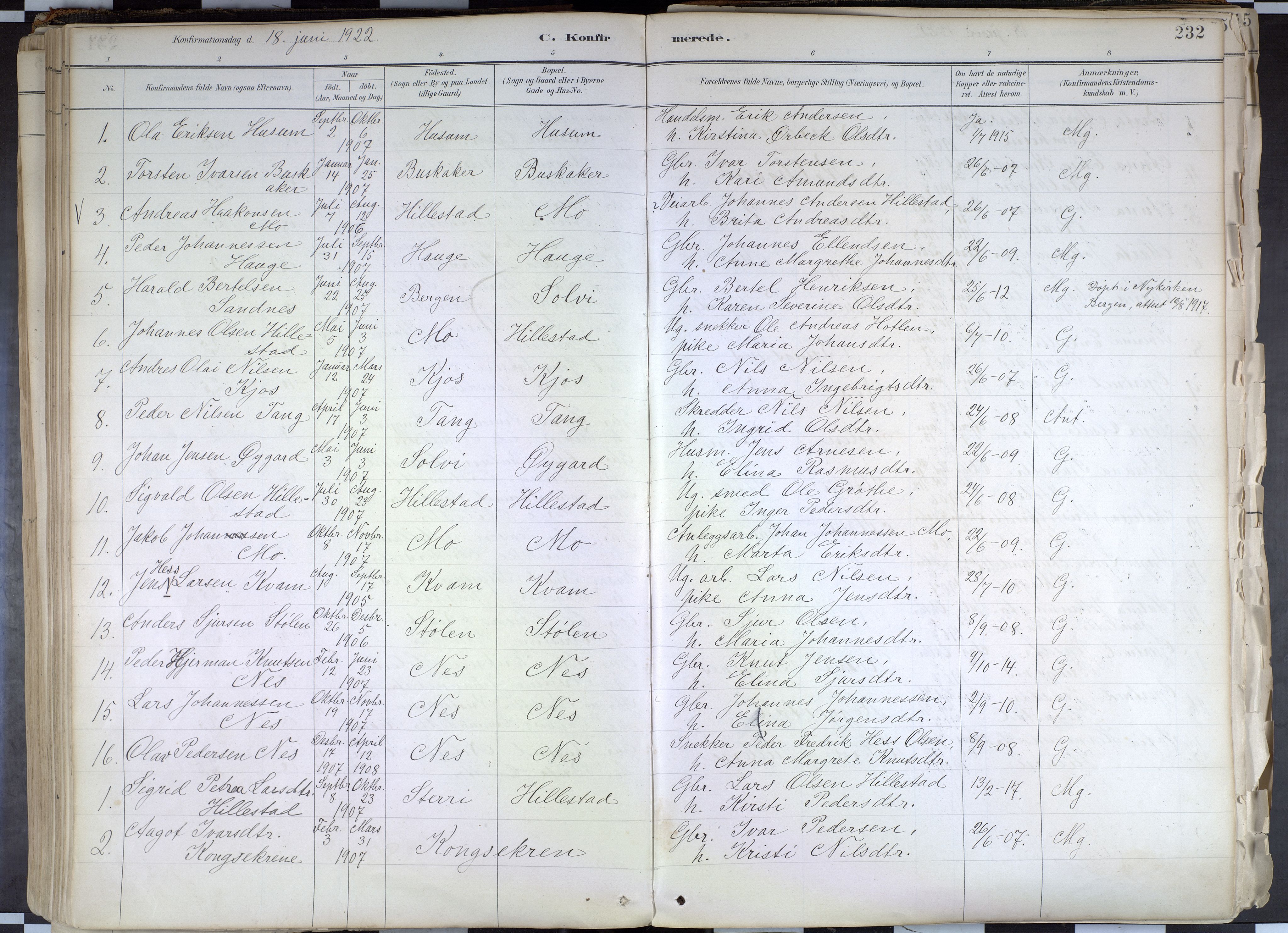 Hafslo sokneprestembete, SAB/A-80301/H/Haa/Haab/L0001: Parish register (official) no. B 1, 1886-1945, p. 232