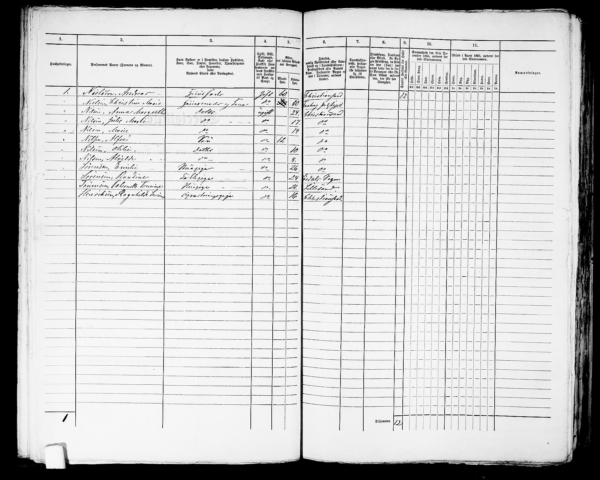 RA, 1865 census for Kristiansand, 1865, p. 1607