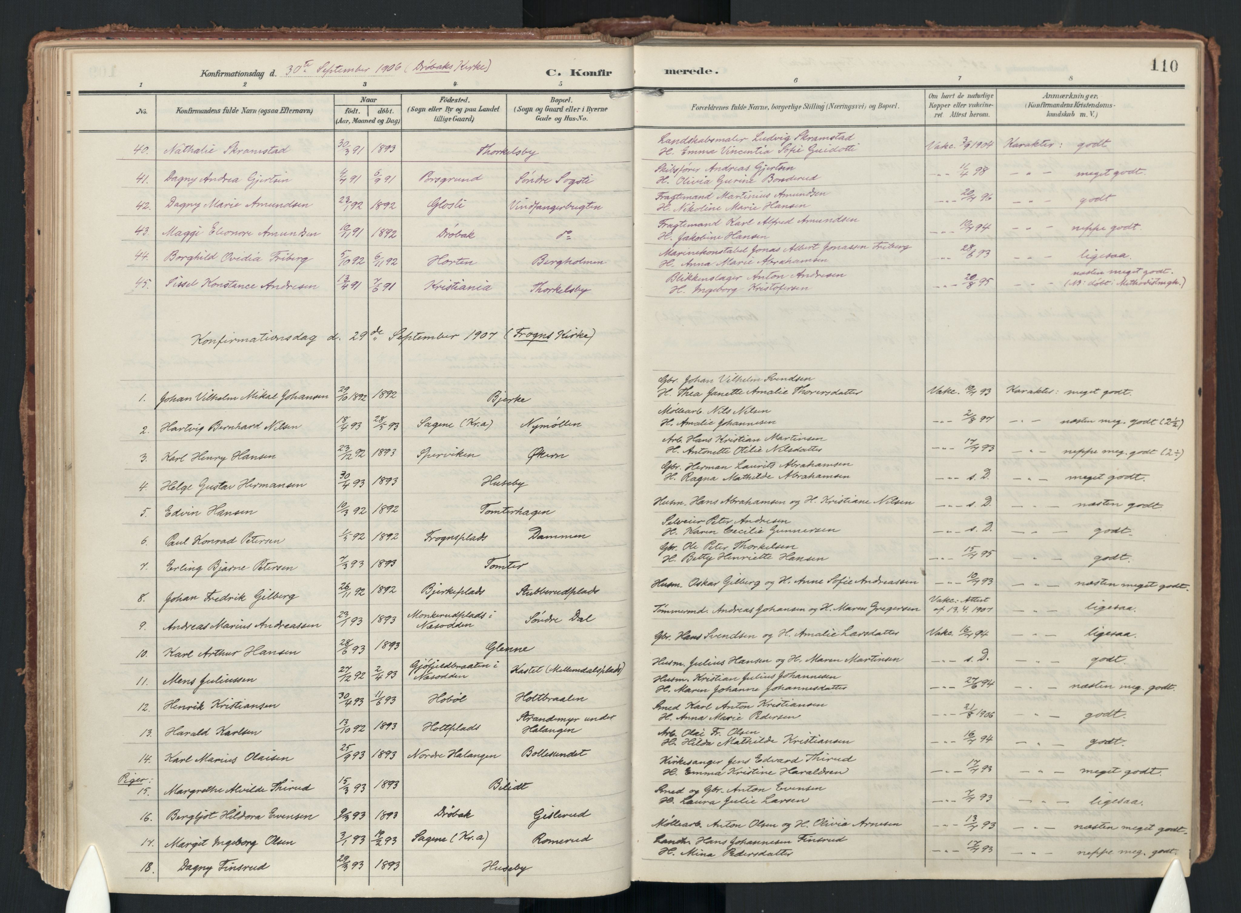Drøbak prestekontor Kirkebøker, SAO/A-10142a/F/Fc/L0003: Parish register (official) no. III 3, 1901-1920, p. 110