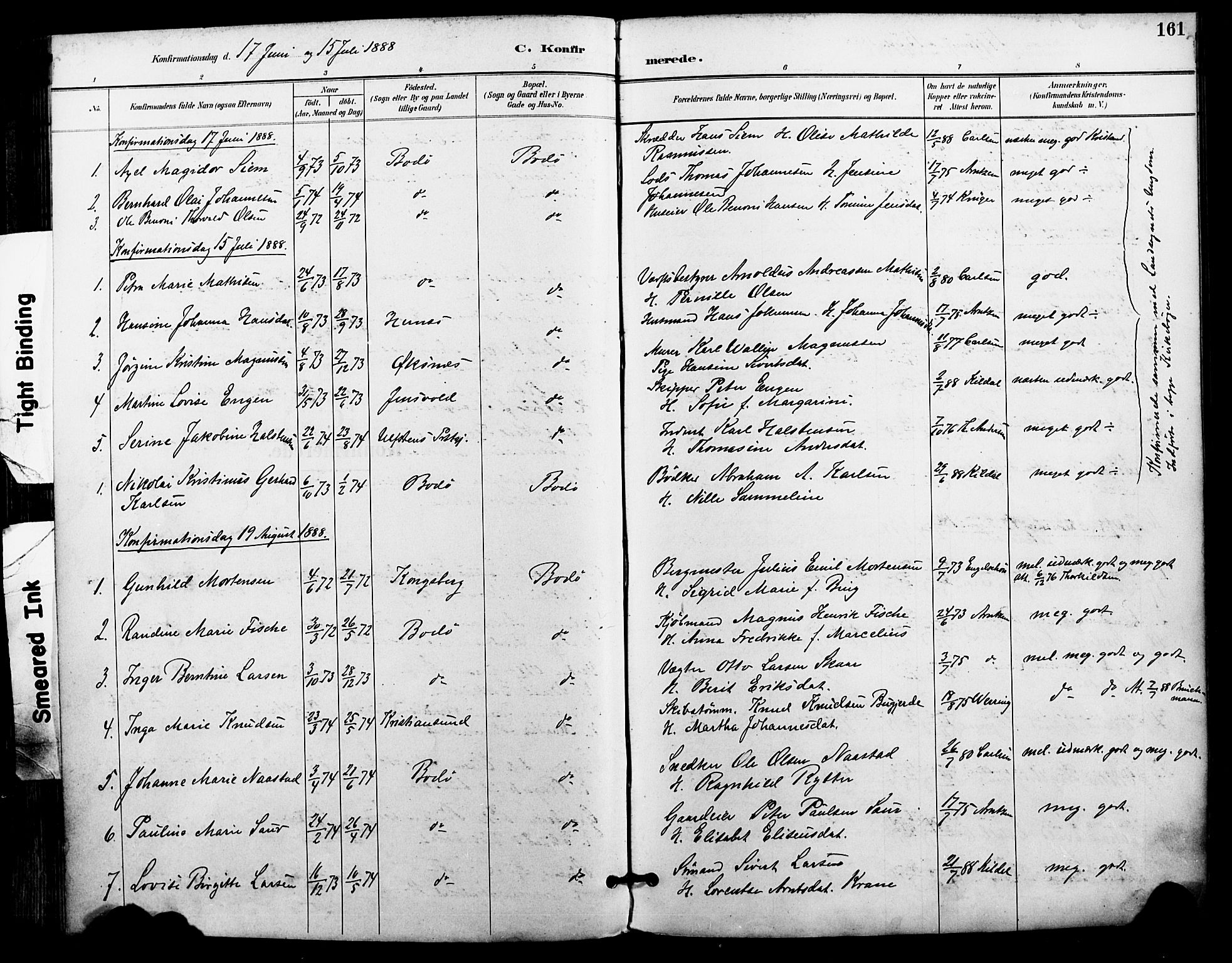 Ministerialprotokoller, klokkerbøker og fødselsregistre - Nordland, SAT/A-1459/801/L0010: Parish register (official) no. 801A10, 1888-1899, p. 161