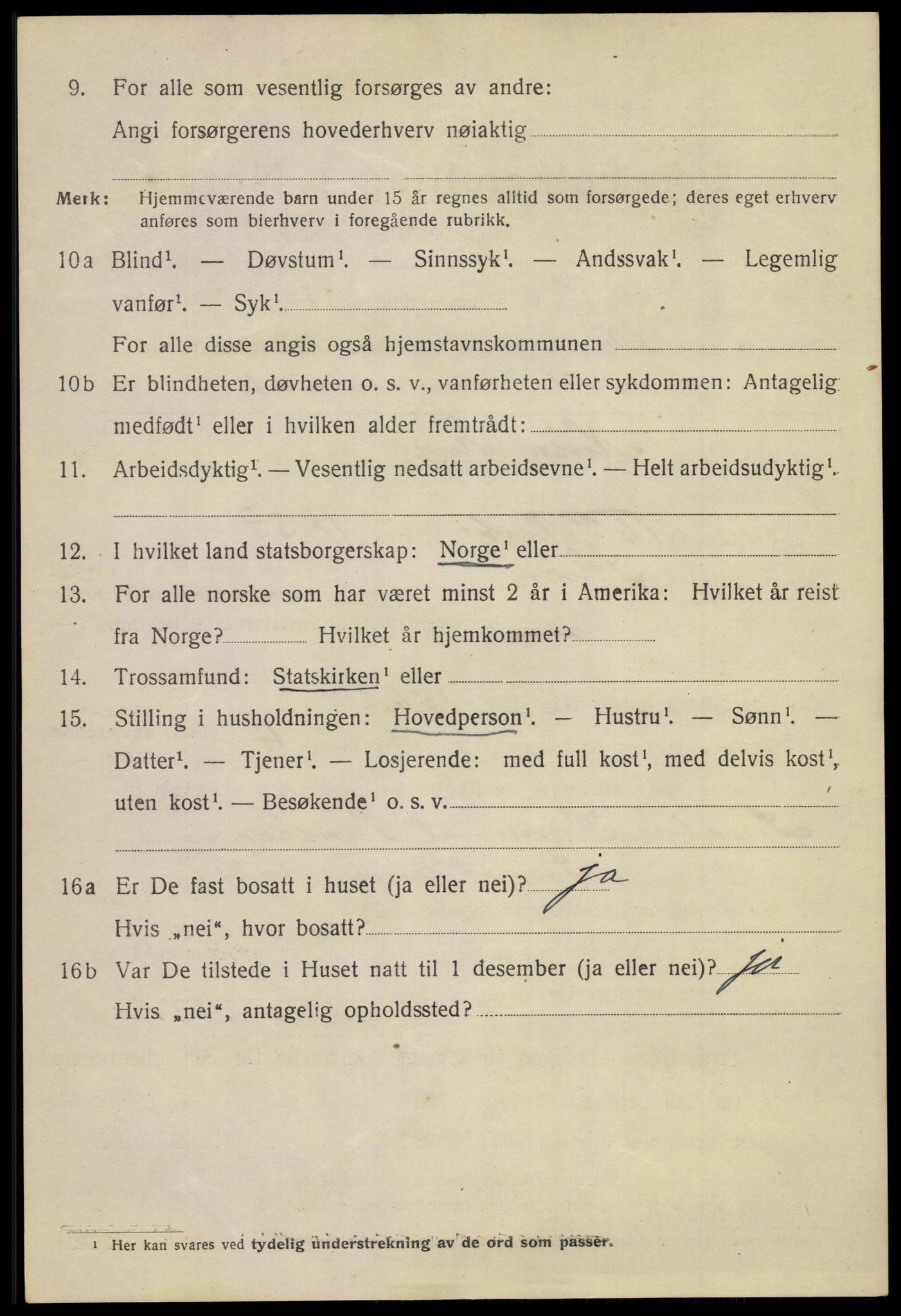 SAKO, 1920 census for Skien, 1920, p. 13551