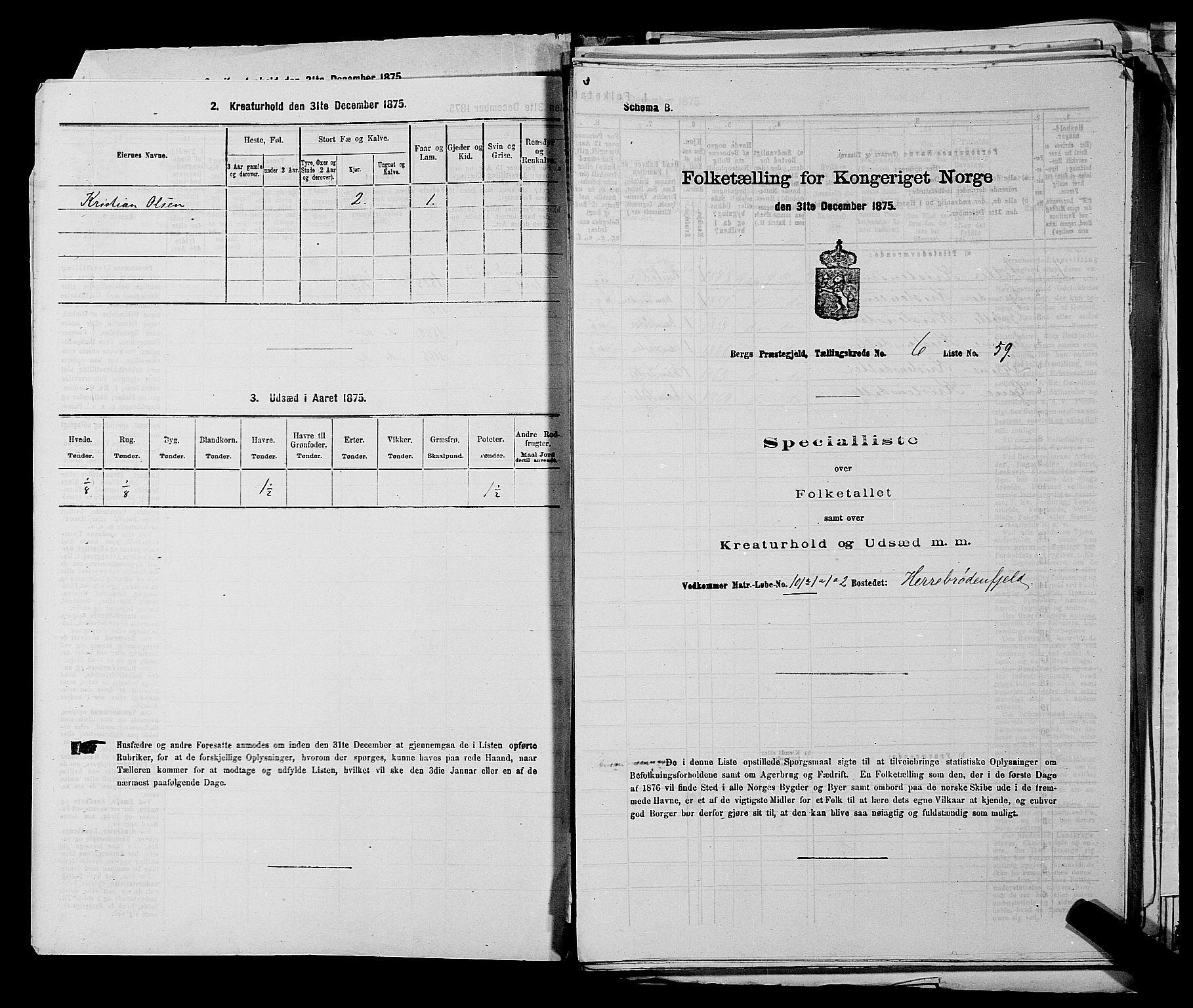 RA, 1875 census for 0116P Berg, 1875, p. 873