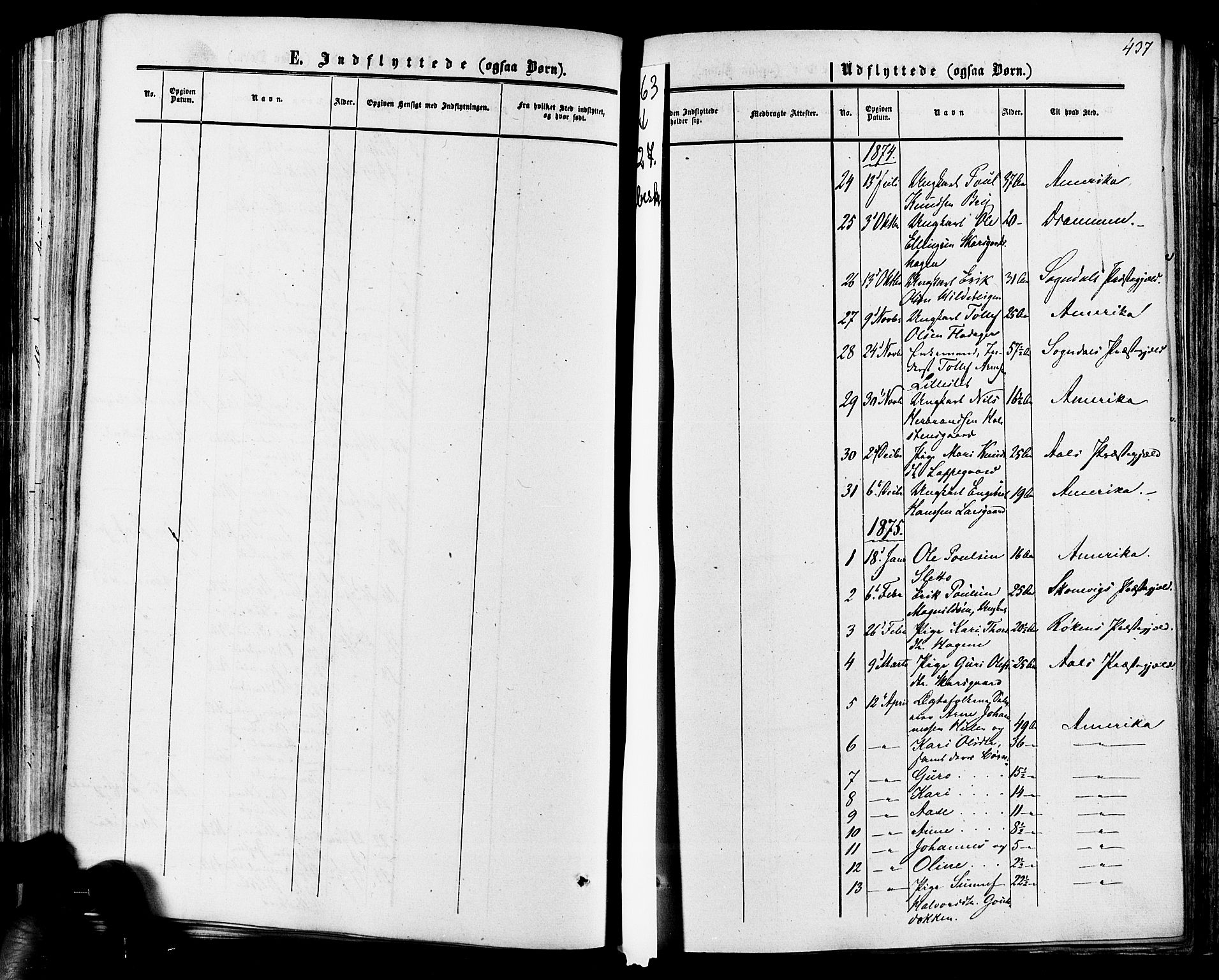 Hol kirkebøker, SAKO/A-227/F/Fa/L0002: Parish register (official) no. I 2, 1870-1886, p. 437