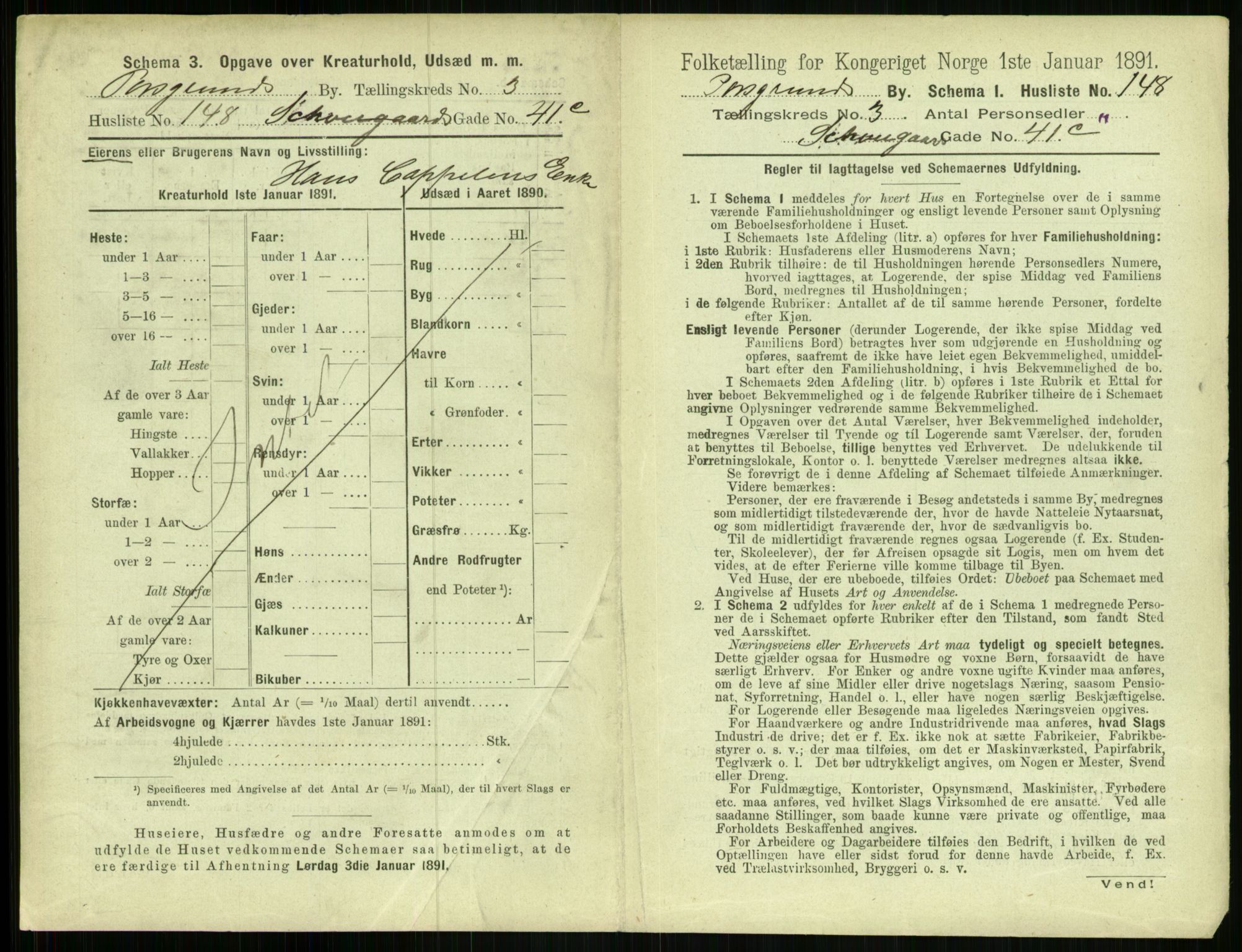 RA, 1891 census for 0805 Porsgrunn, 1891, p. 779