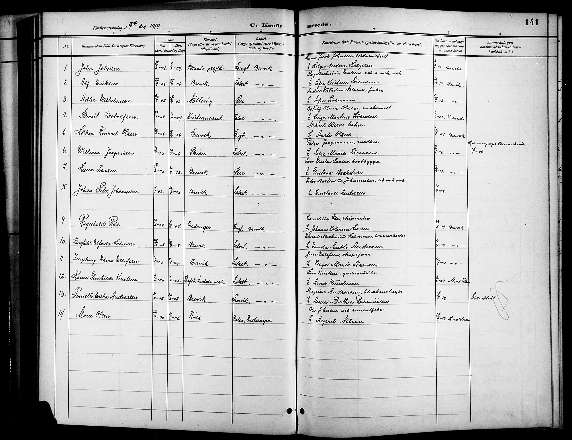 Brevik kirkebøker, SAKO/A-255/G/Ga/L0005: Parish register (copy) no. 5, 1901-1924, p. 141