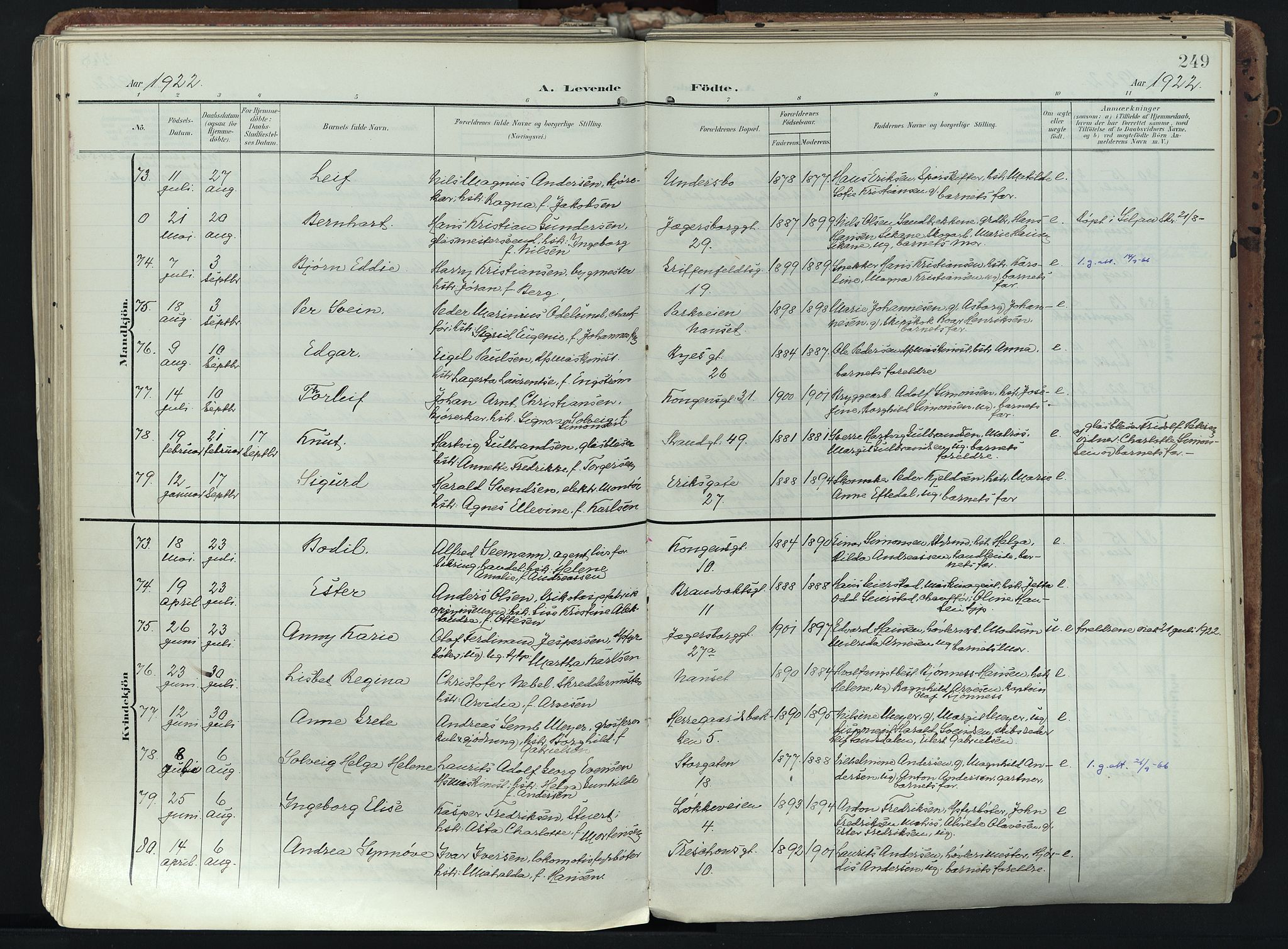 Larvik kirkebøker, AV/SAKO-A-352/F/Fa/L0012: Parish register (official) no. I 12, 1905-1933, p. 249