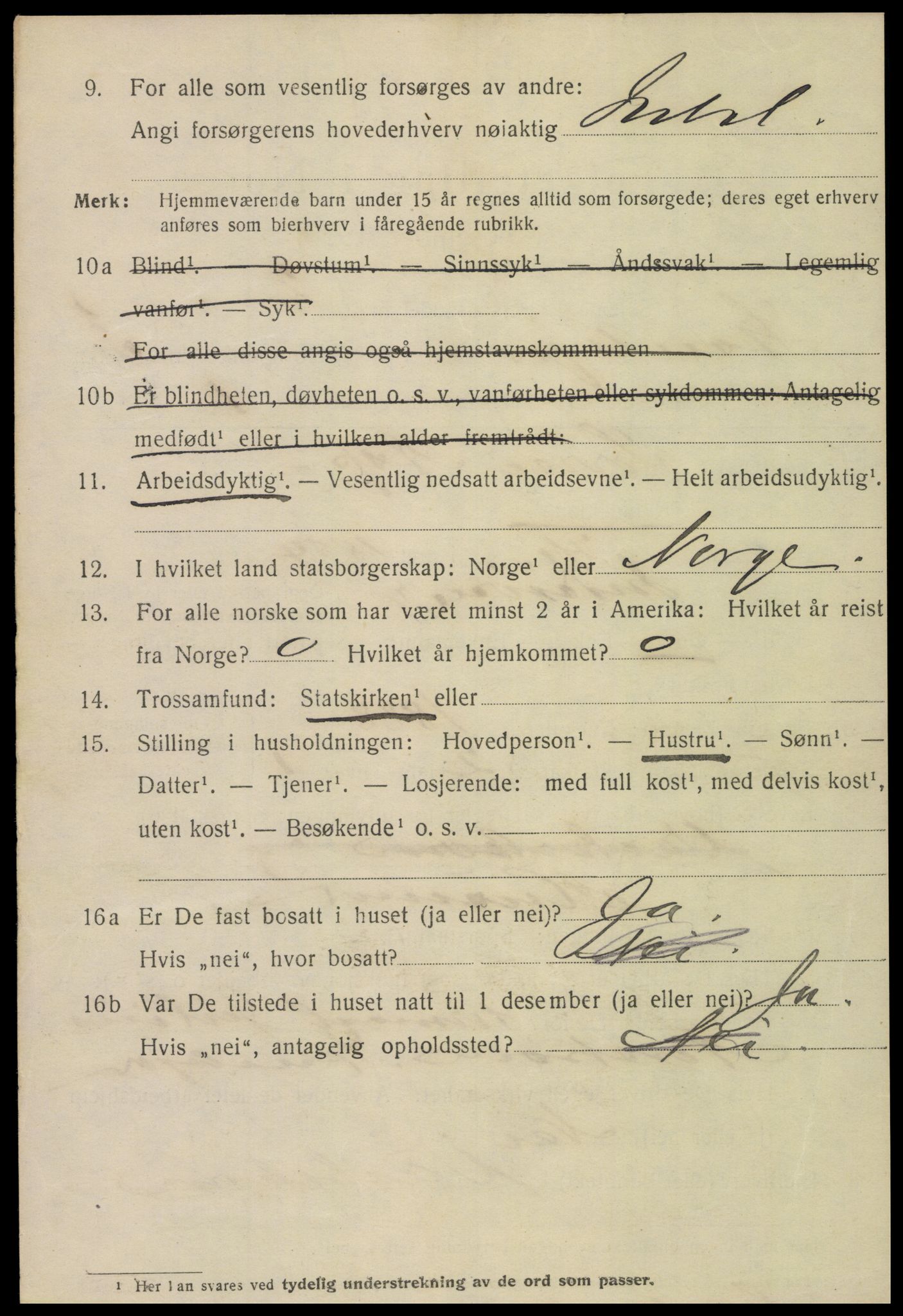 SAT, 1920 census for Steinkjer, 1920, p. 5729