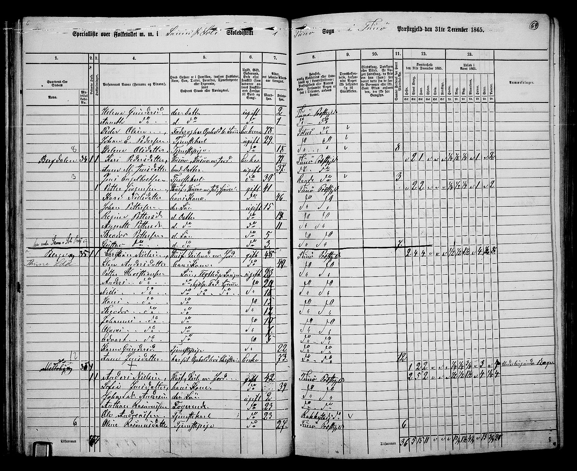 RA, 1865 census for Tune, 1865, p. 65