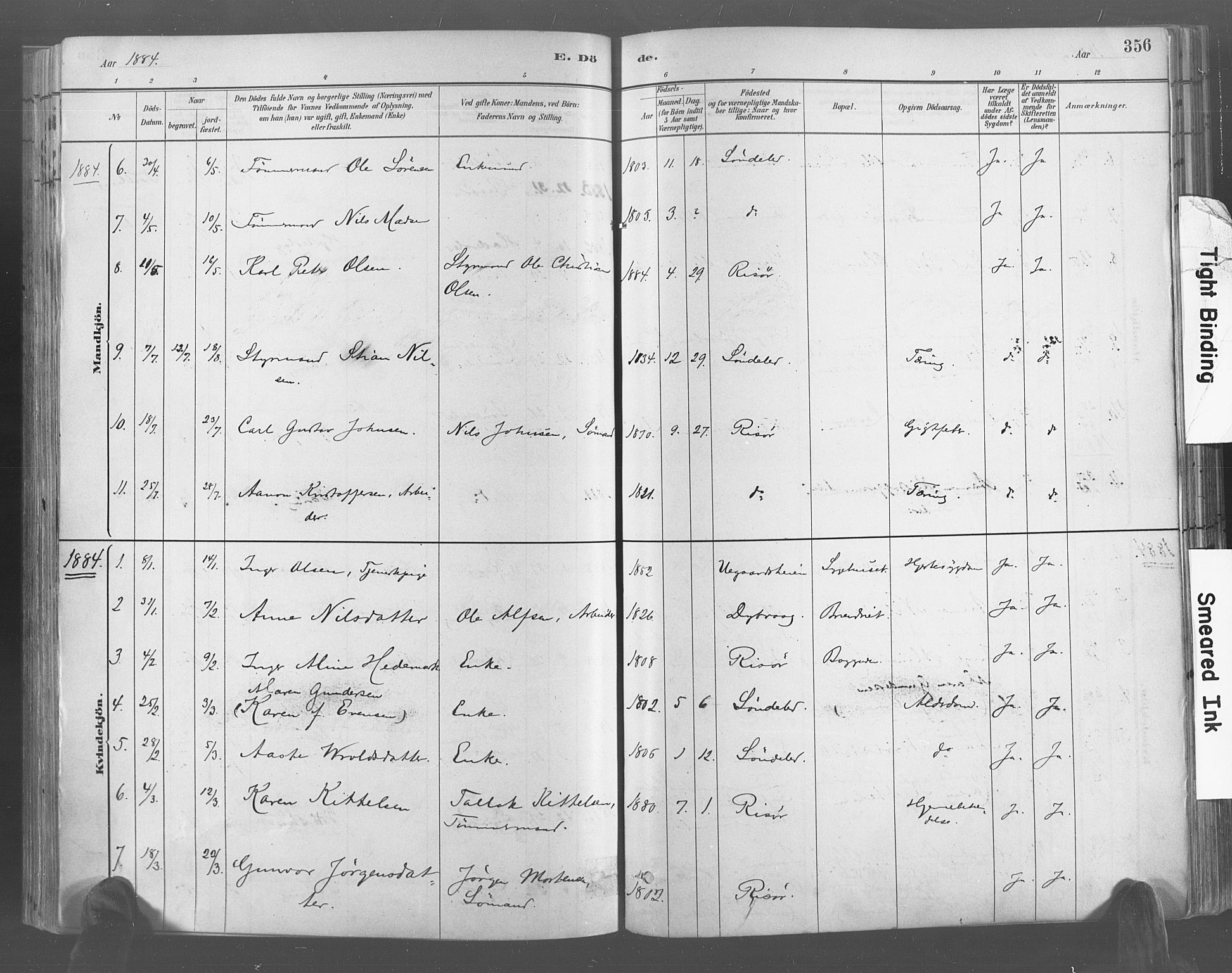 Risør sokneprestkontor, AV/SAK-1111-0035/F/Fa/L0005: Parish register (official) no. A 5, 1883-1895, p. 356