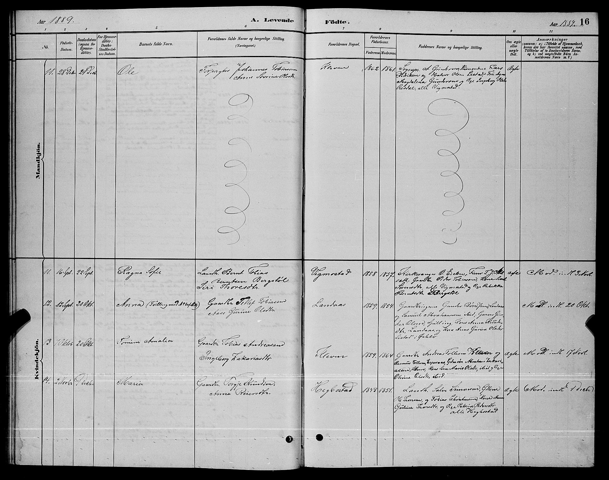 Nord-Audnedal sokneprestkontor, AV/SAK-1111-0032/F/Fb/Fbb/L0003: Parish register (copy) no. B 3, 1882-1900, p. 16