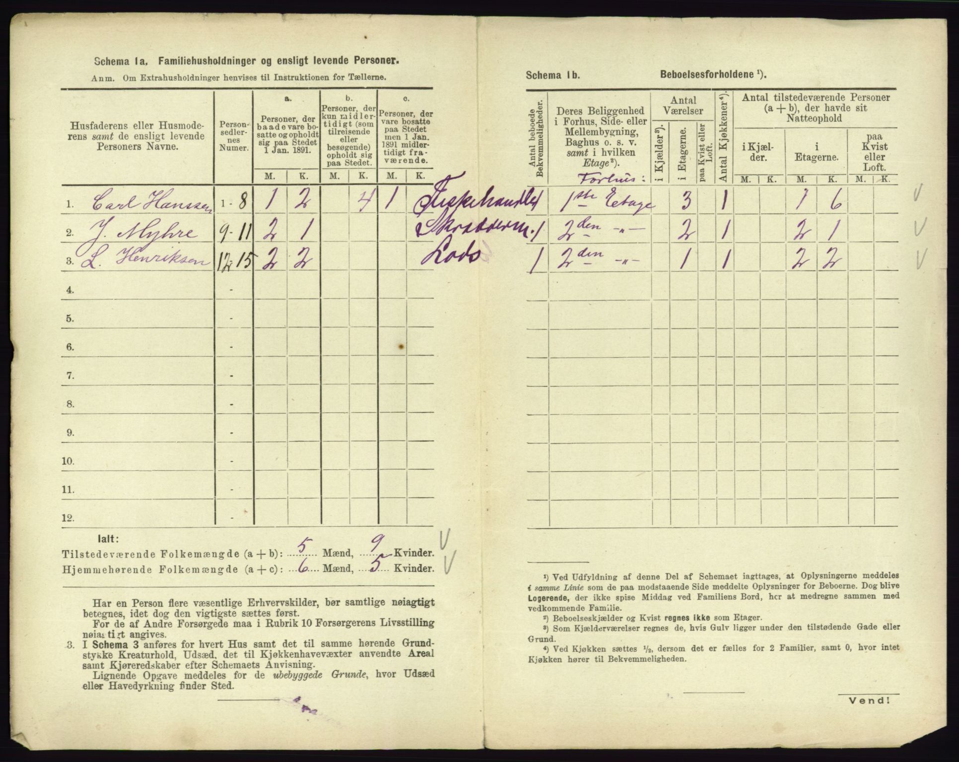 RA, 1891 census for 0702 Holmestrand, 1891, p. 221