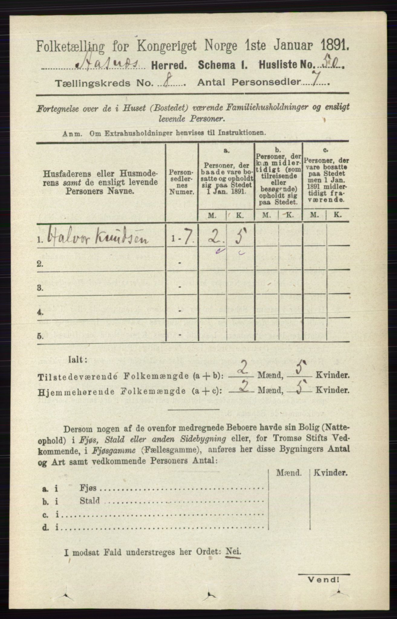 RA, 1891 census for 0425 Åsnes, 1891, p. 4171