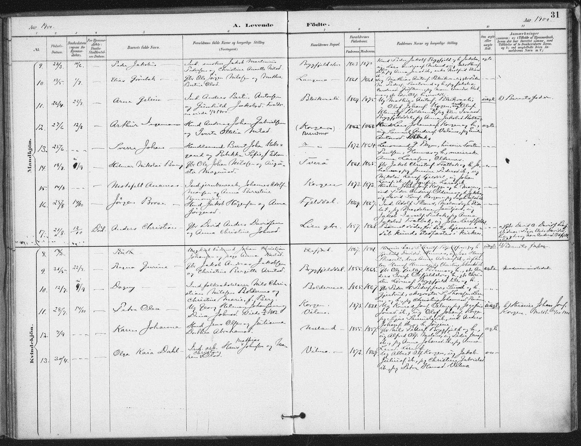 Ministerialprotokoller, klokkerbøker og fødselsregistre - Nordland, SAT/A-1459/826/L0380: Parish register (official) no. 826A03, 1891-1911, p. 31