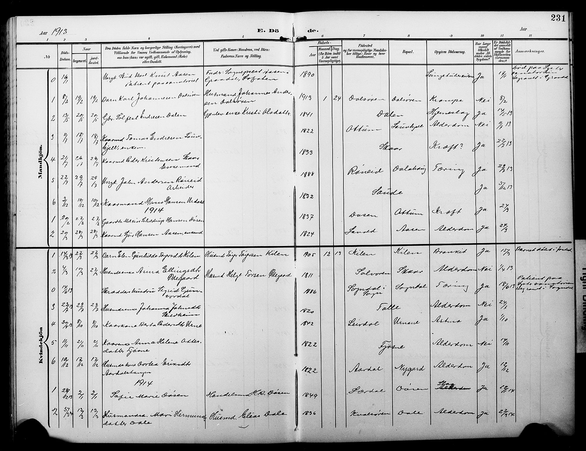 Luster sokneprestembete, AV/SAB-A-81101/H/Hab/Haba/L0001: Parish register (copy) no. A 1, 1903-1930, p. 231