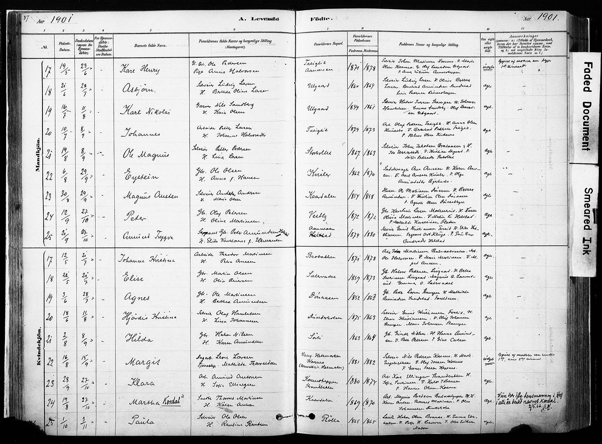 Hof prestekontor, AV/SAH-PREST-038/H/Ha/Haa/L0010: Parish register (official) no. 10, 1878-1909, p. 87