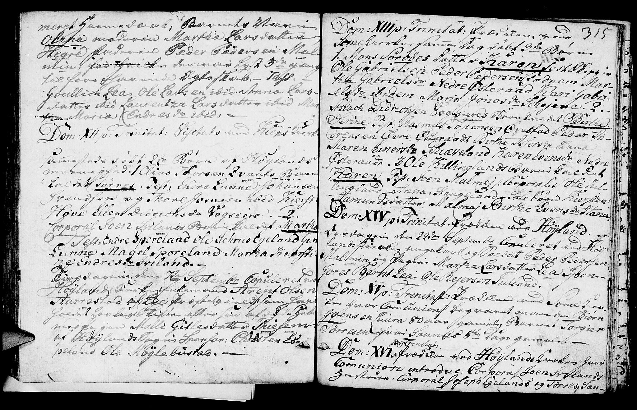 Høyland sokneprestkontor, AV/SAST-A-101799/001/30BA/L0004: Parish register (official) no. A 4, 1784-1803, p. 315