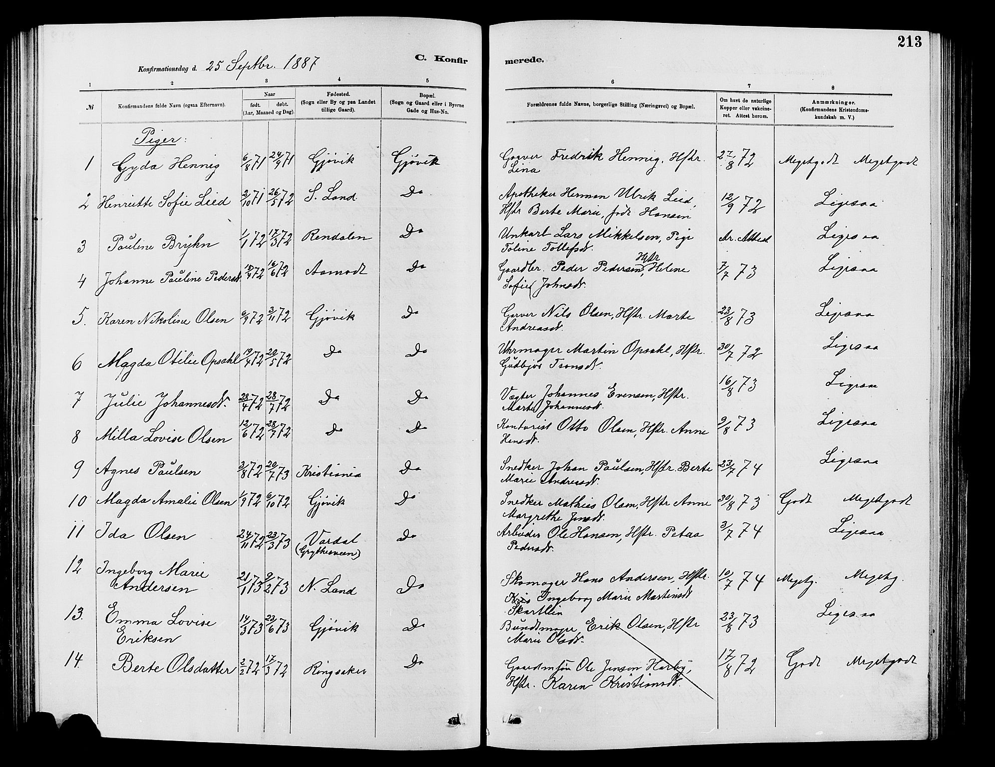 Vardal prestekontor, SAH/PREST-100/H/Ha/Hab/L0007: Parish register (copy) no. 7 /2, 1881-1895, p. 213