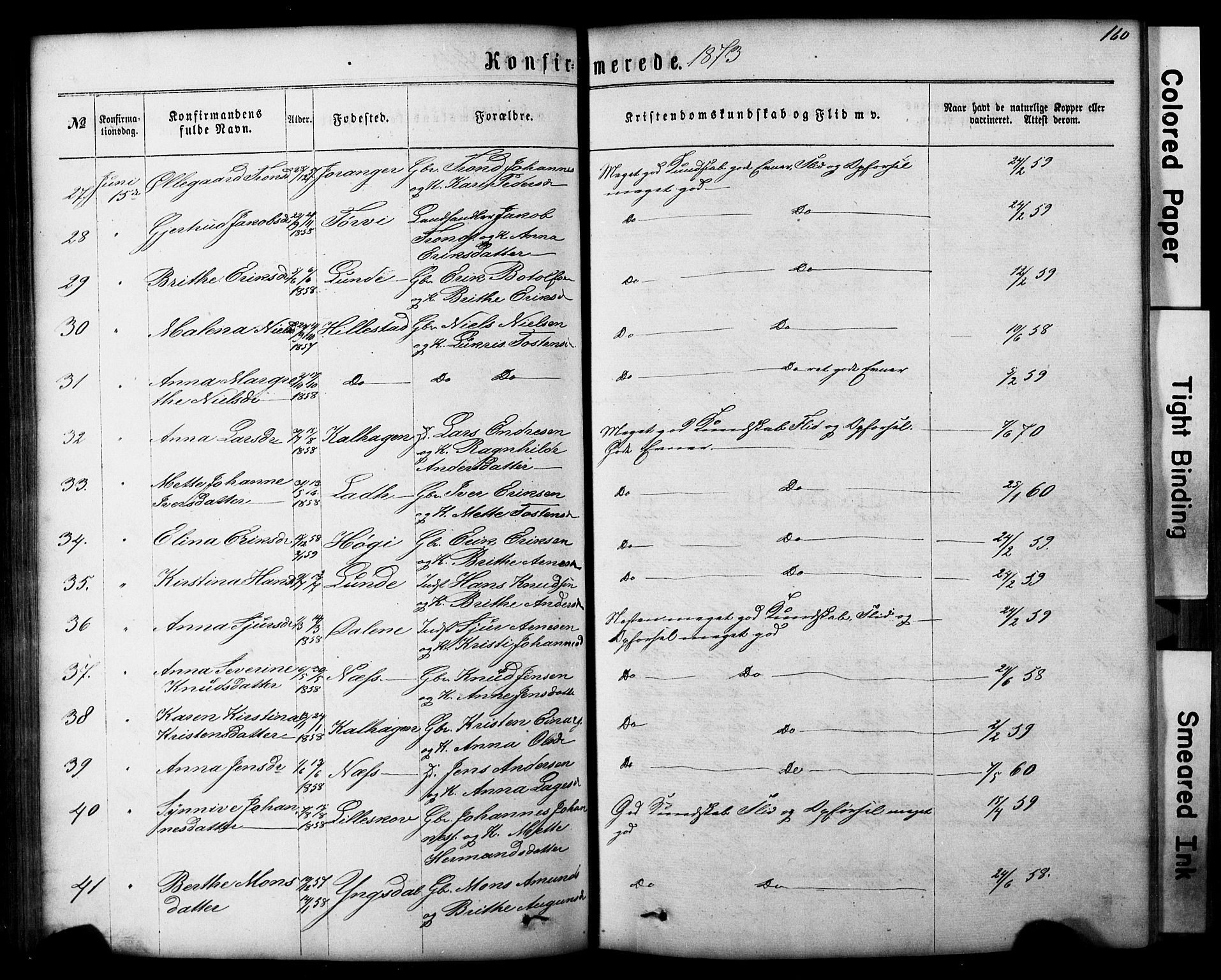 Hafslo sokneprestembete, AV/SAB-A-80301/H/Hab/Haba/L0001: Parish register (copy) no. A 1, 1866-1908, p. 160