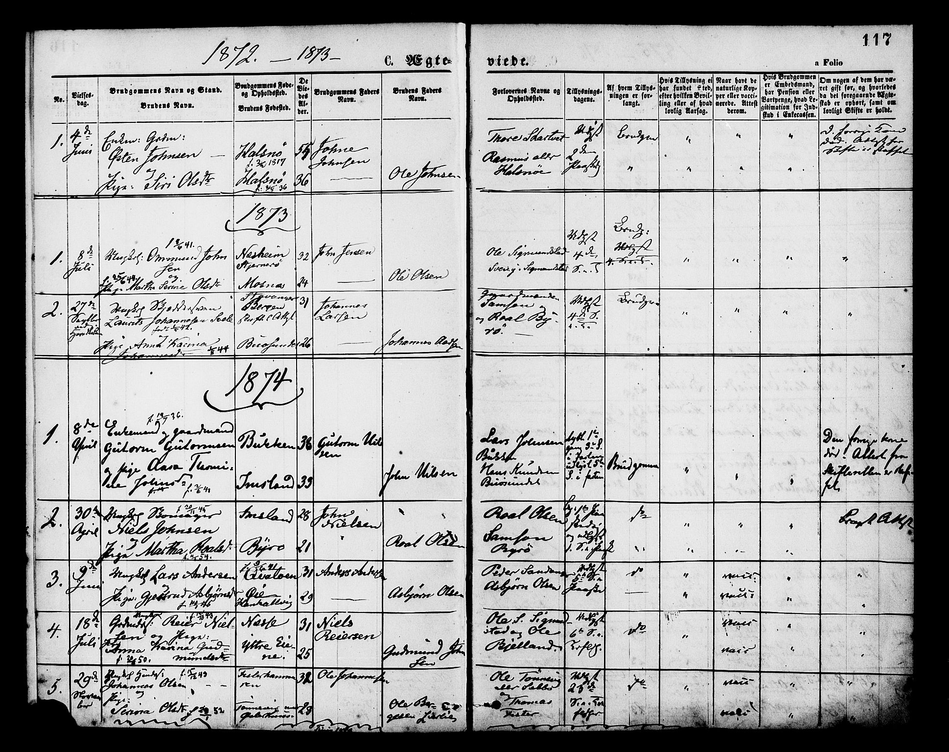 Hjelmeland sokneprestkontor, AV/SAST-A-101843/01/IV/L0013: Parish register (official) no. A 13, 1872-1886, p. 117