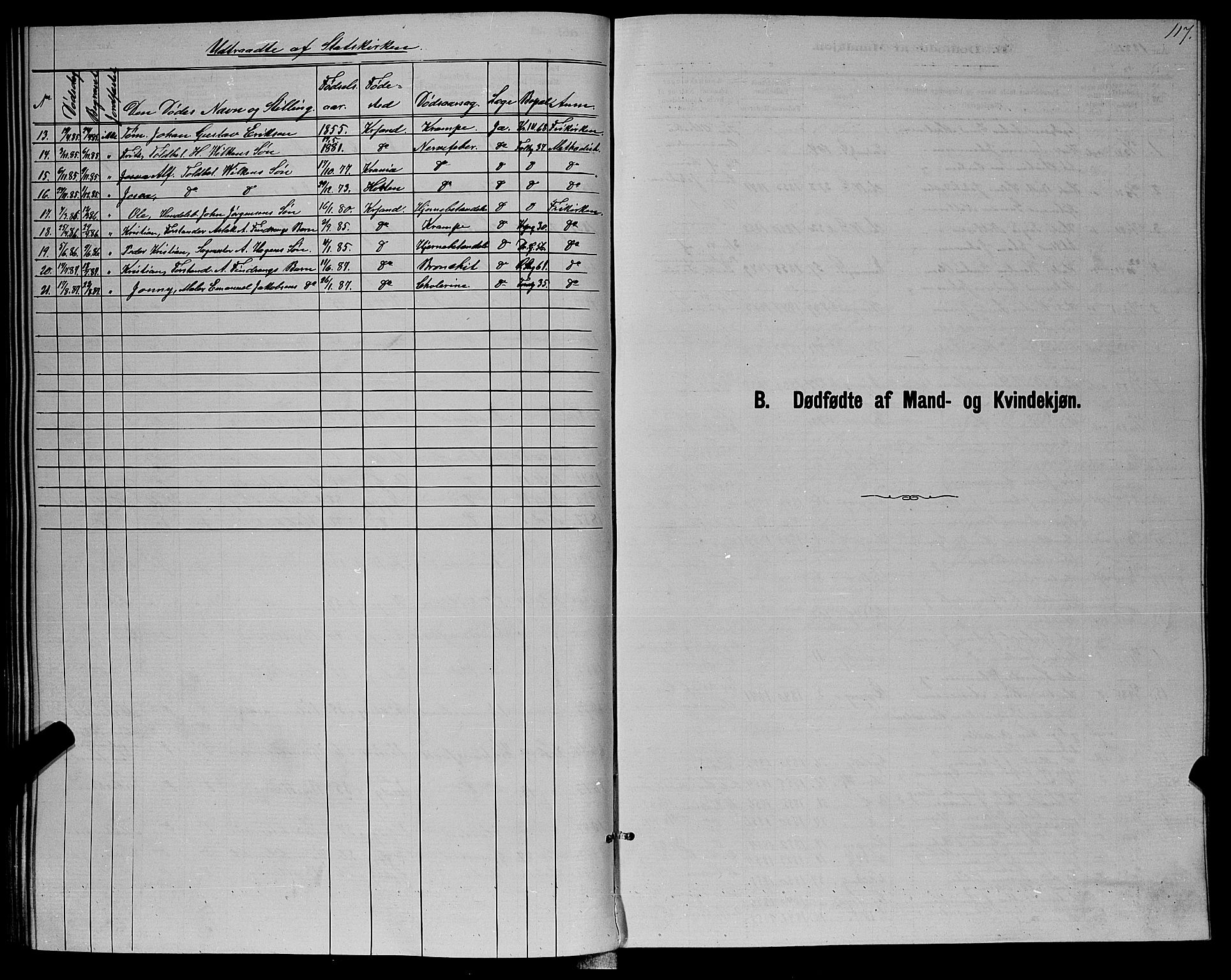 Kristiansand domprosti, SAK/1112-0006/F/Fb/L0016: Parish register (copy) no. B 16, 1881-1893, p. 117