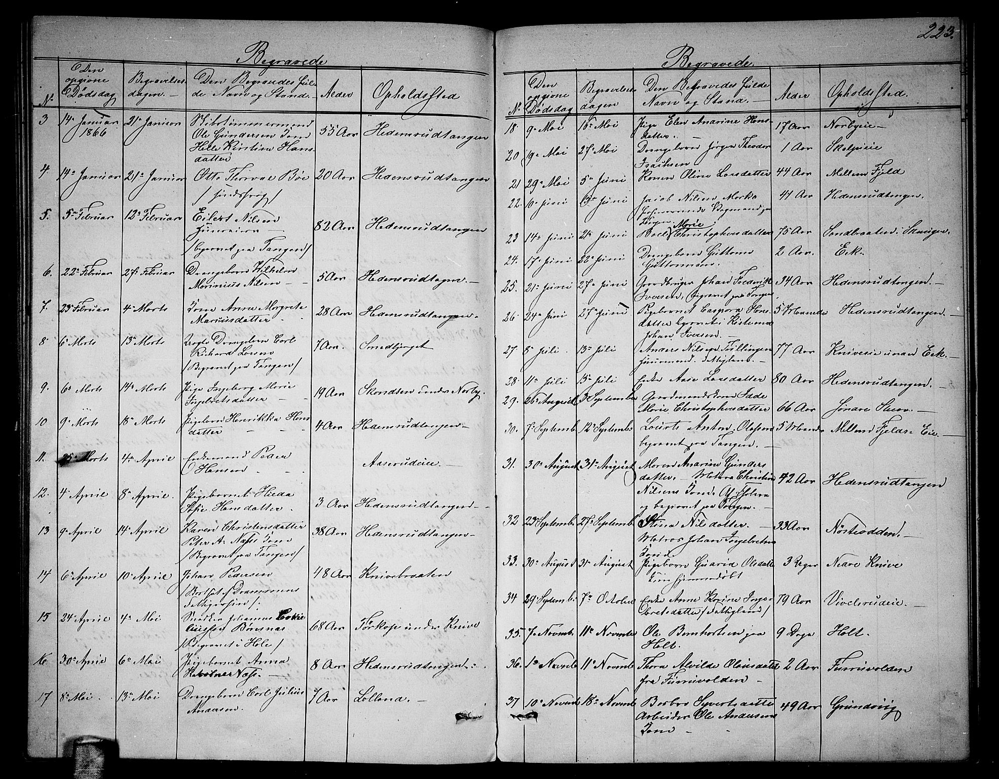 Skoger kirkebøker, AV/SAKO-A-59/G/Ga/L0002: Parish register (copy) no. I 2, 1860-1880, p. 223