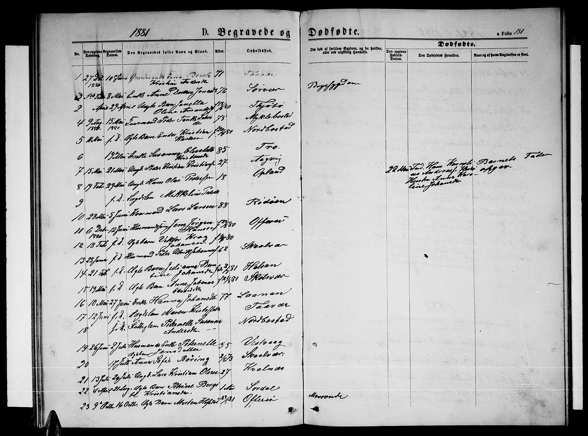 Ministerialprotokoller, klokkerbøker og fødselsregistre - Nordland, AV/SAT-A-1459/817/L0267: Parish register (copy) no. 817C02, 1870-1883, p. 181