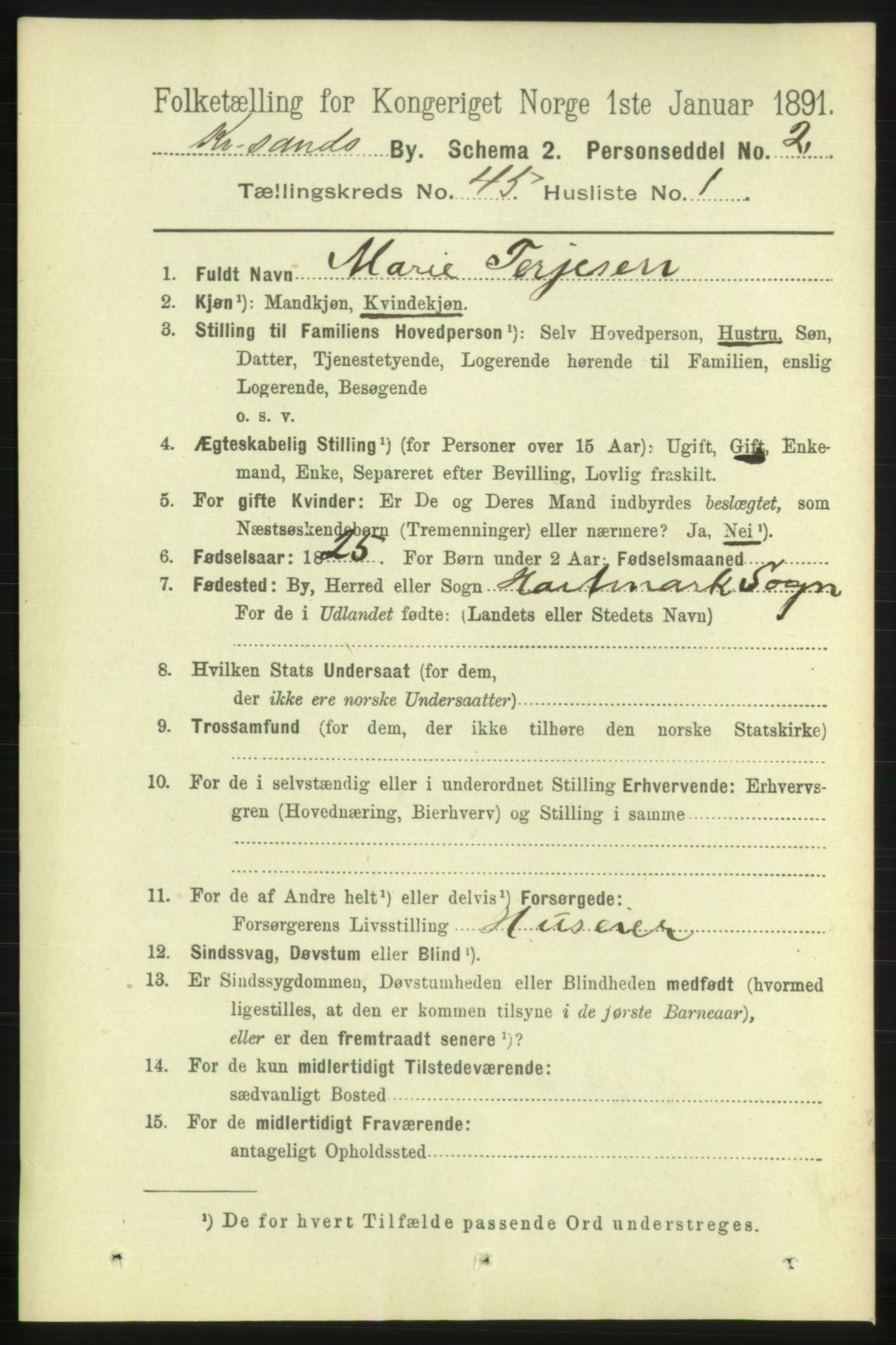 RA, 1891 census for 1001 Kristiansand, 1891, p. 13909